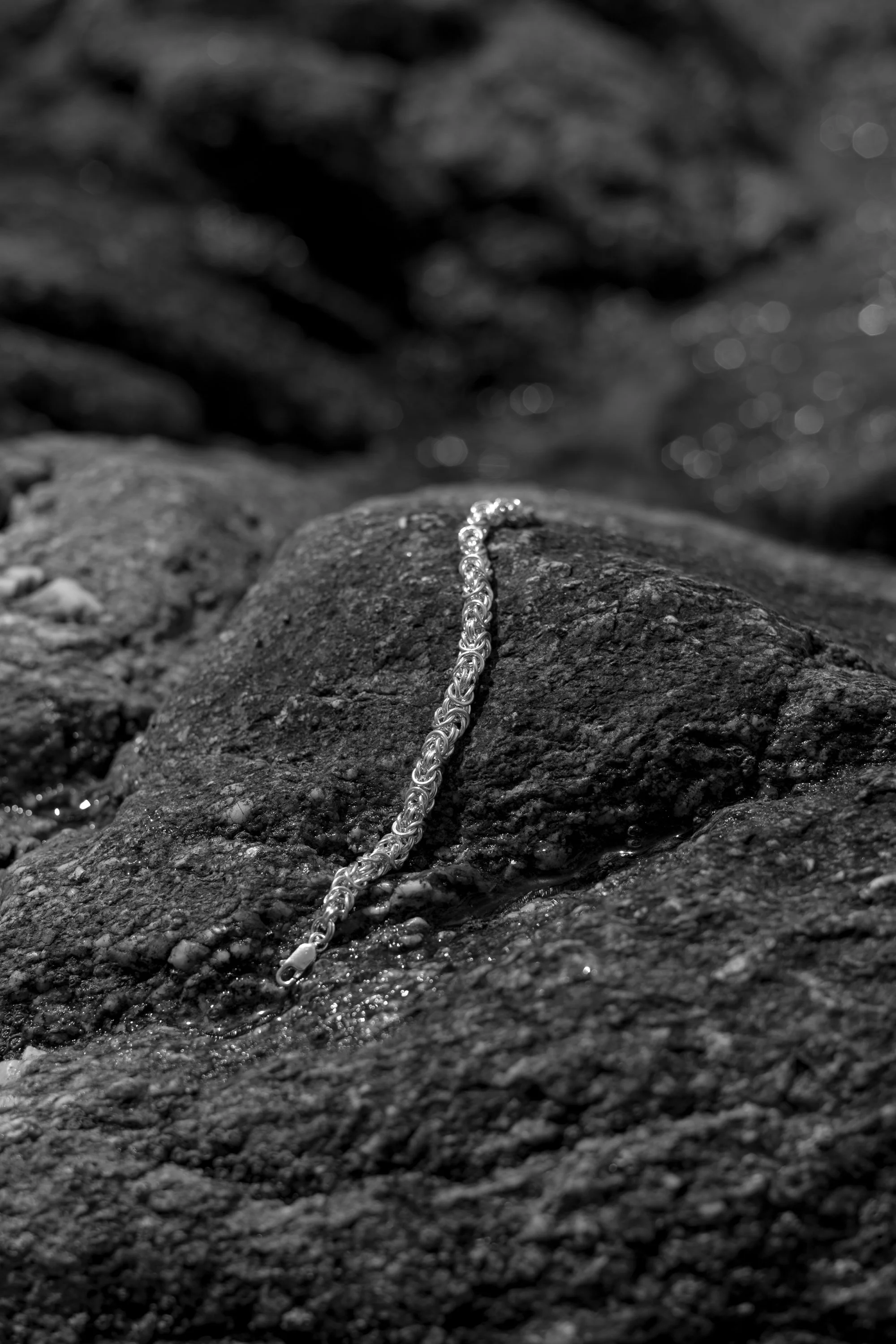 _DSC1276.jpg