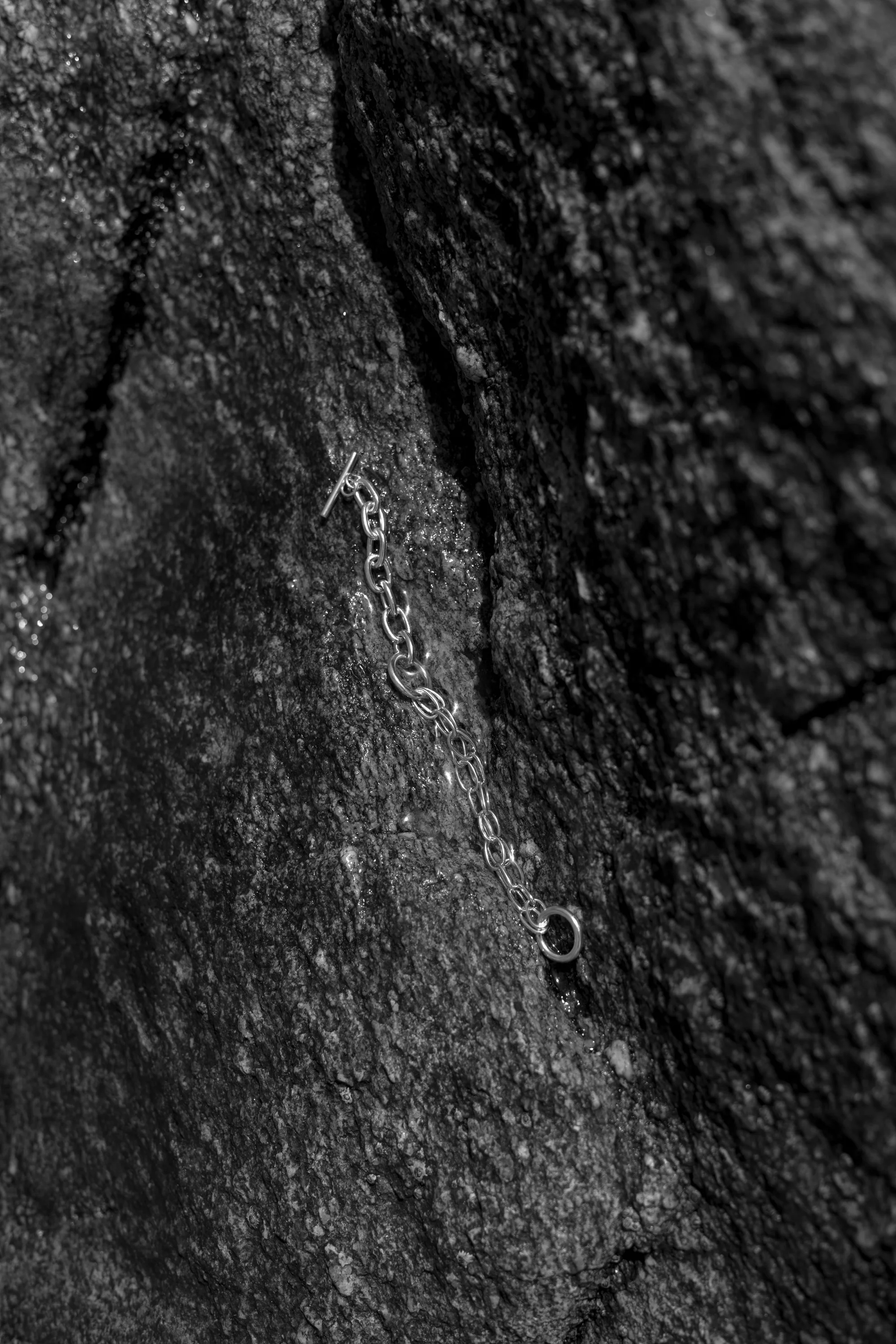 _DSC1293.jpg