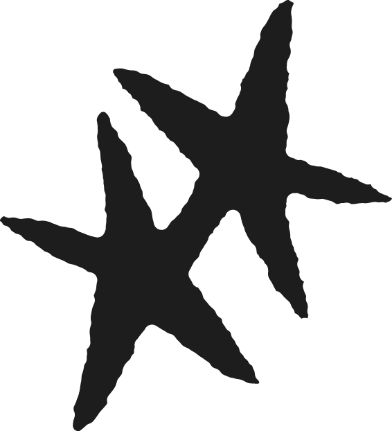 Two stars, overlapping slightly.