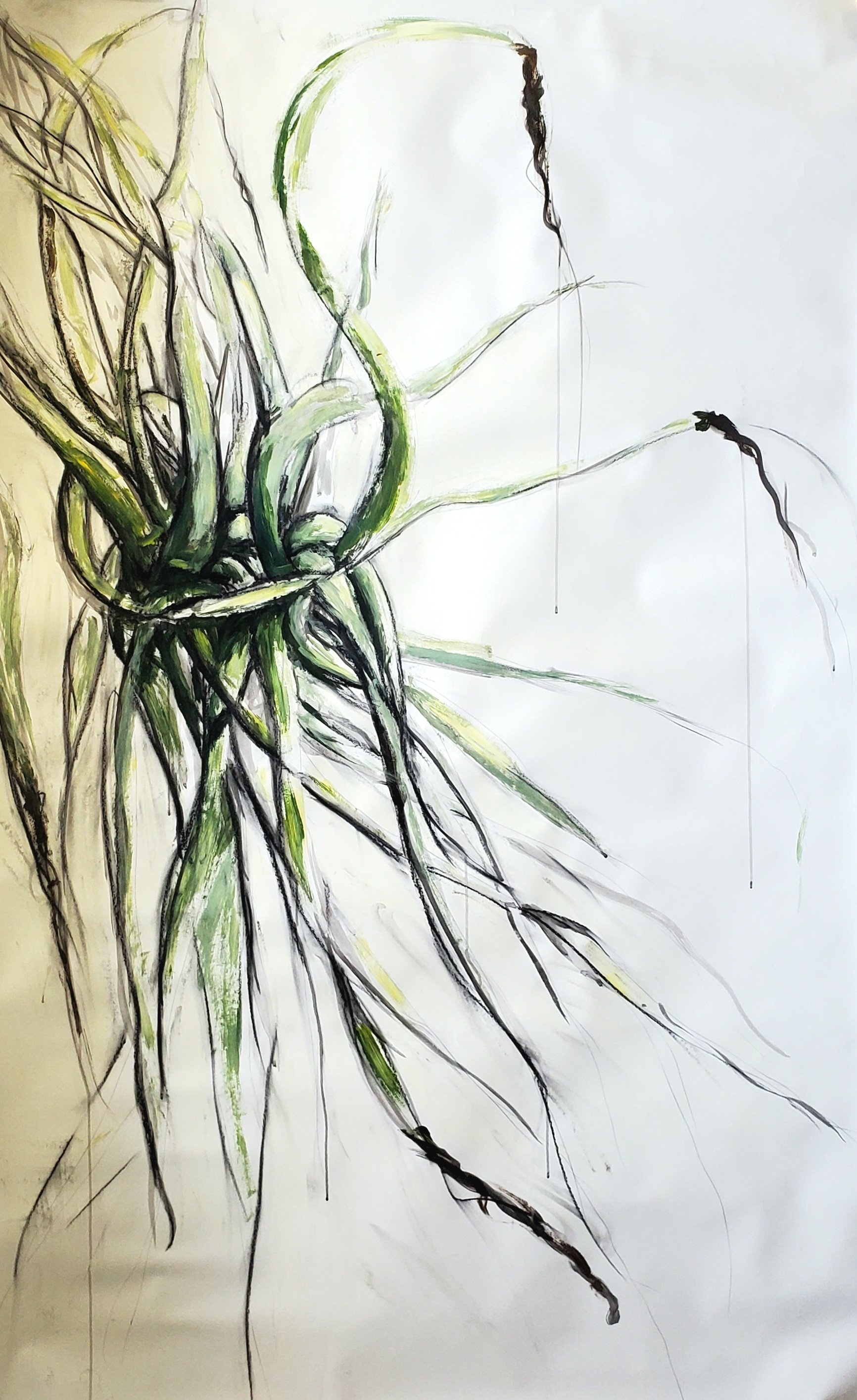 Pencil charcoal black in and acrylic 42x69.75.jpg