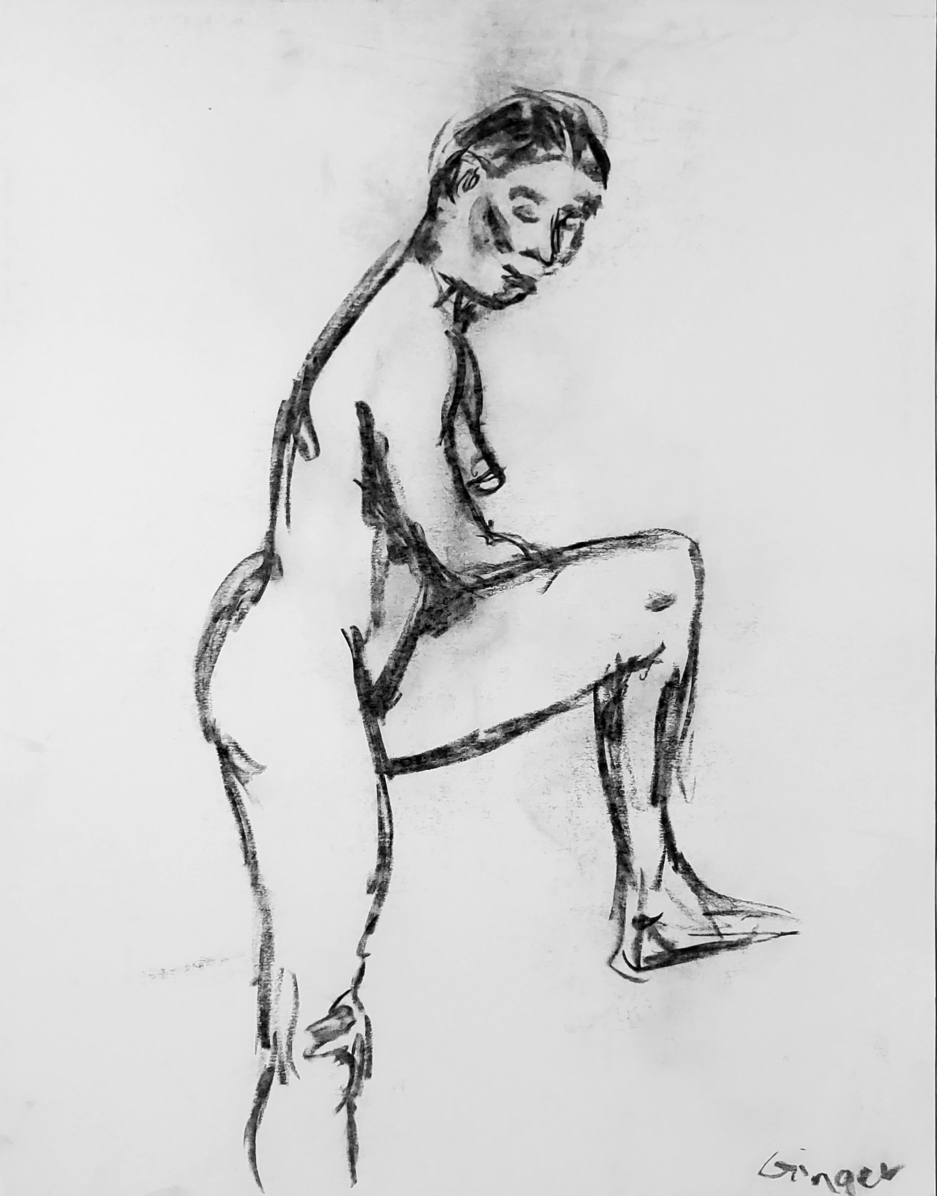 Ginger Study 1 - 18x24 Charcoal On Paper 3-11-13.jpg