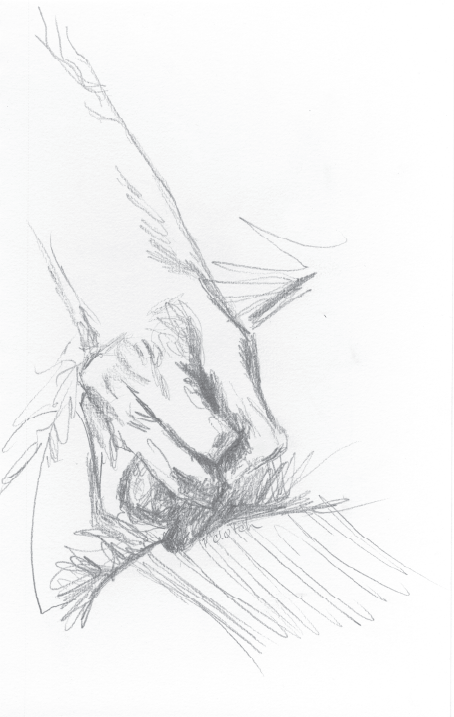 Josie9 edited-01.png