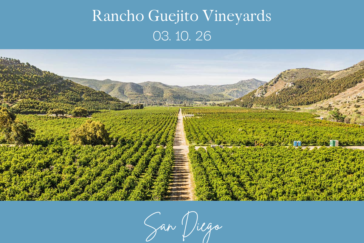 Rancho Guejito Vineyard