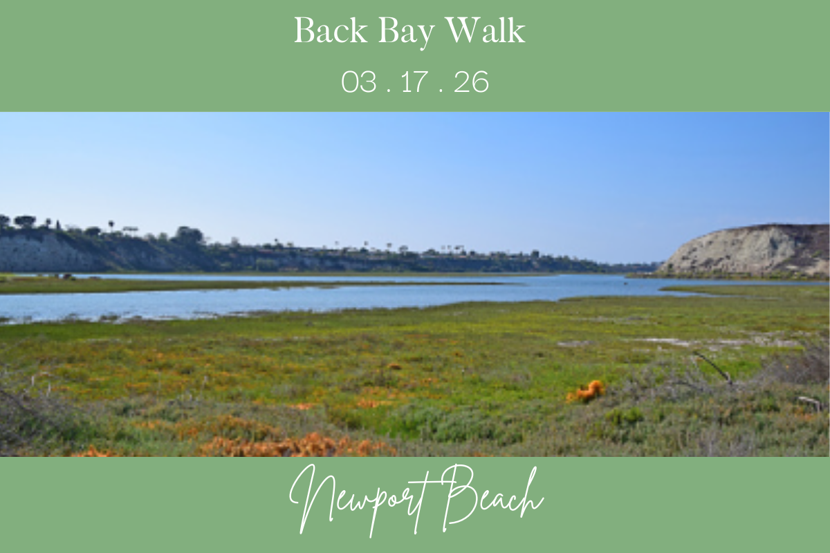 Back Bay Walk