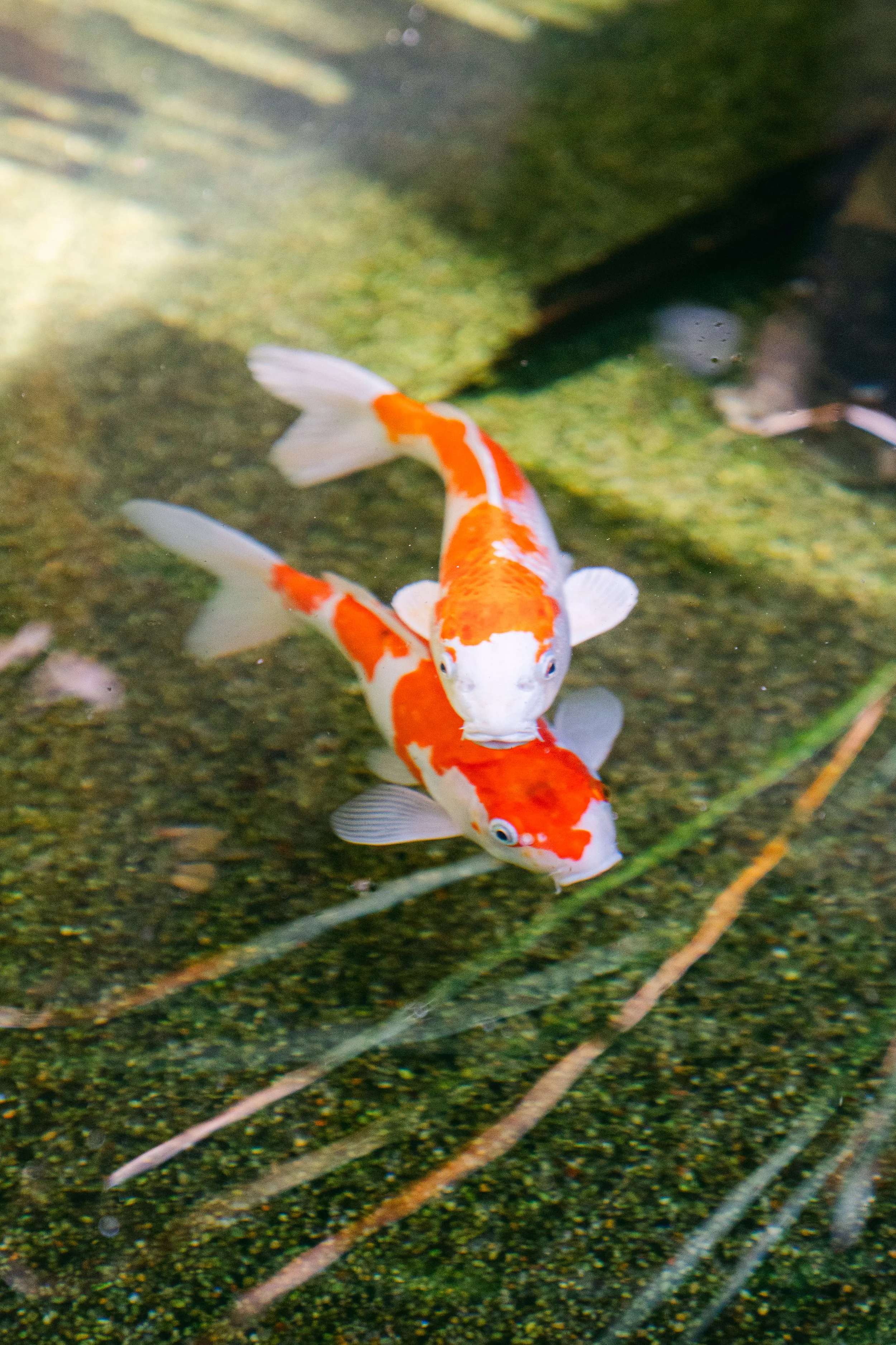 Curate California March Event Sneak Peeks-6.jpg