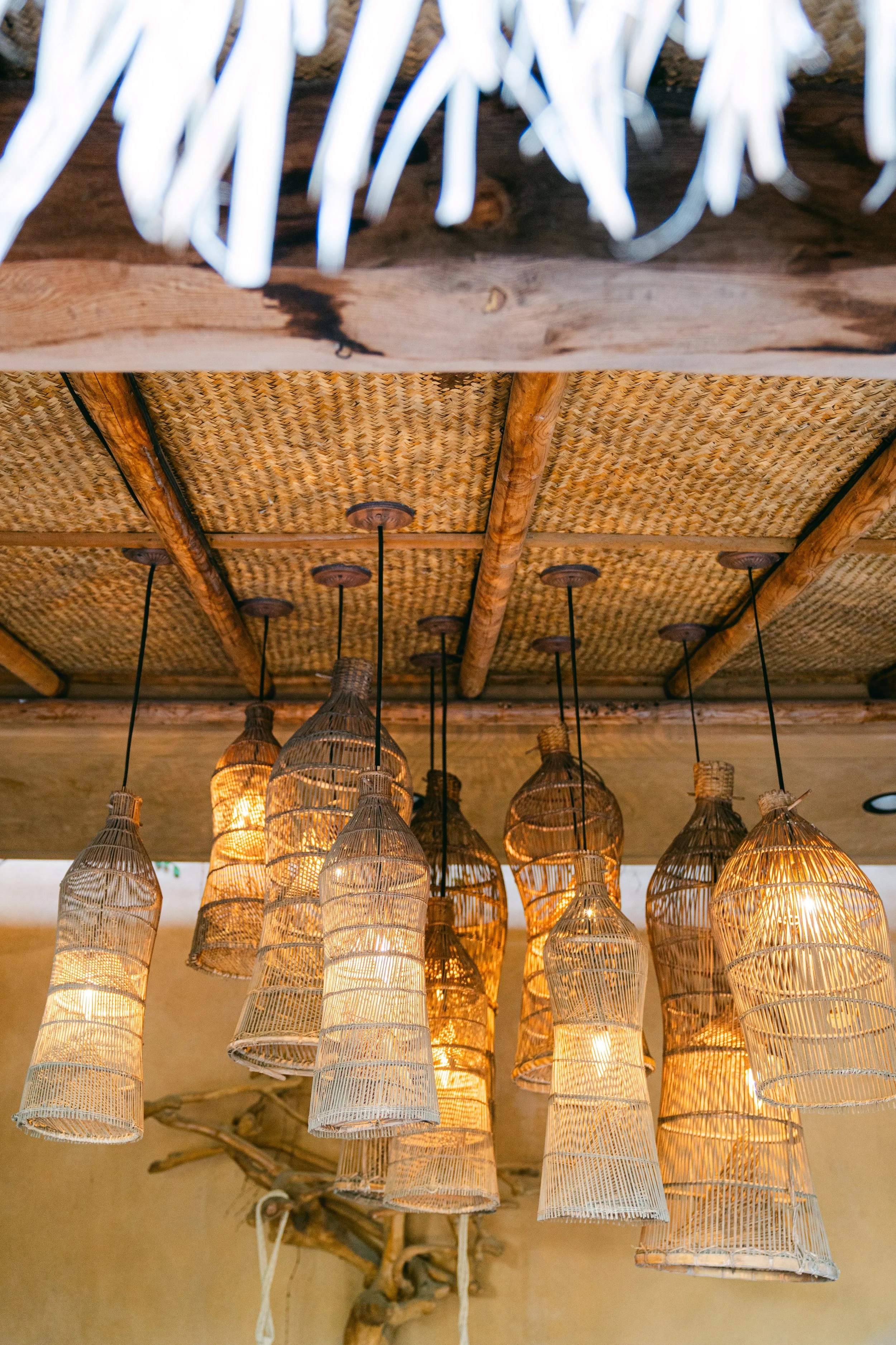 March Curate CA Coast Palms Event-141.jpg