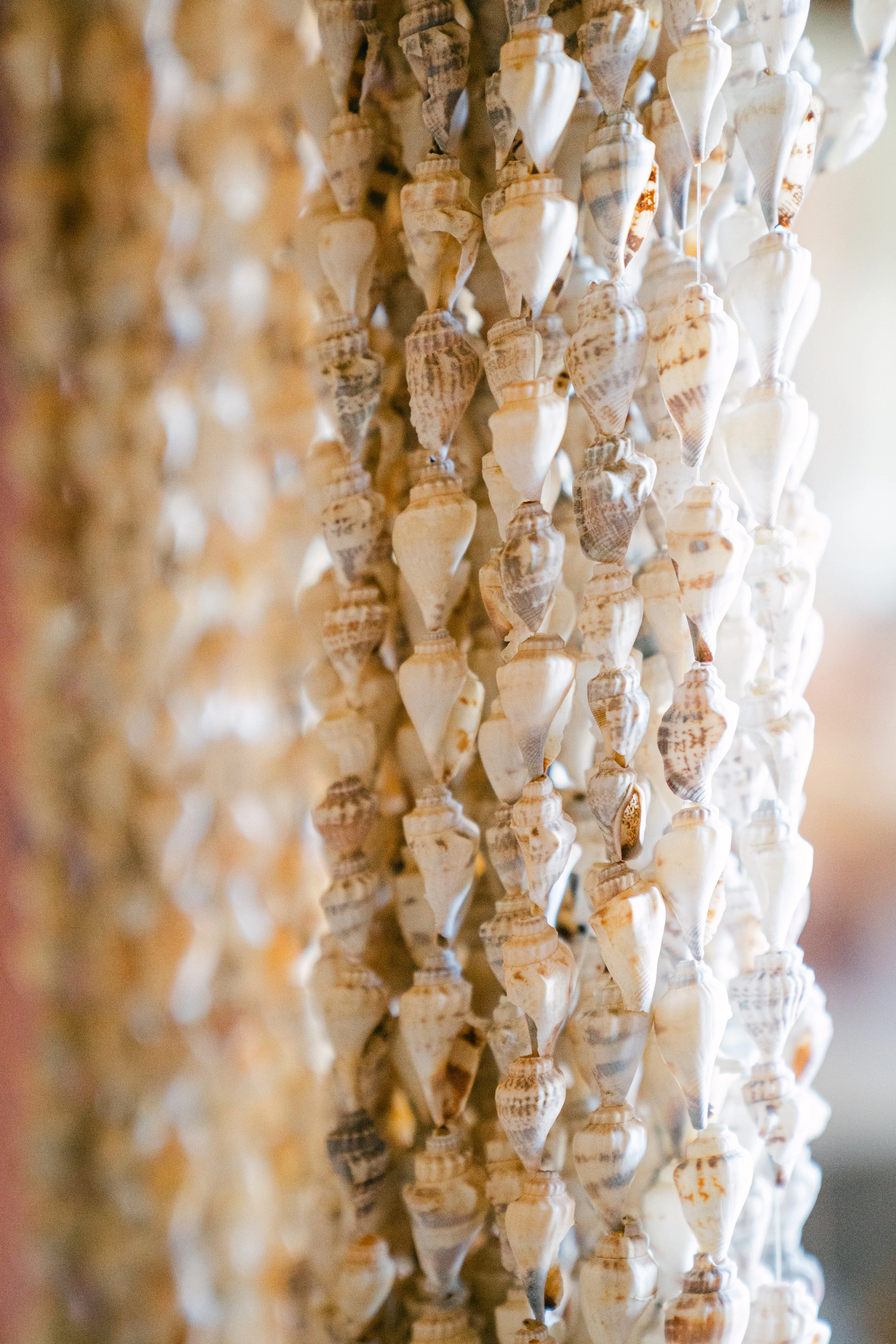 March Curate CA Coast Palms Event-25.jpg