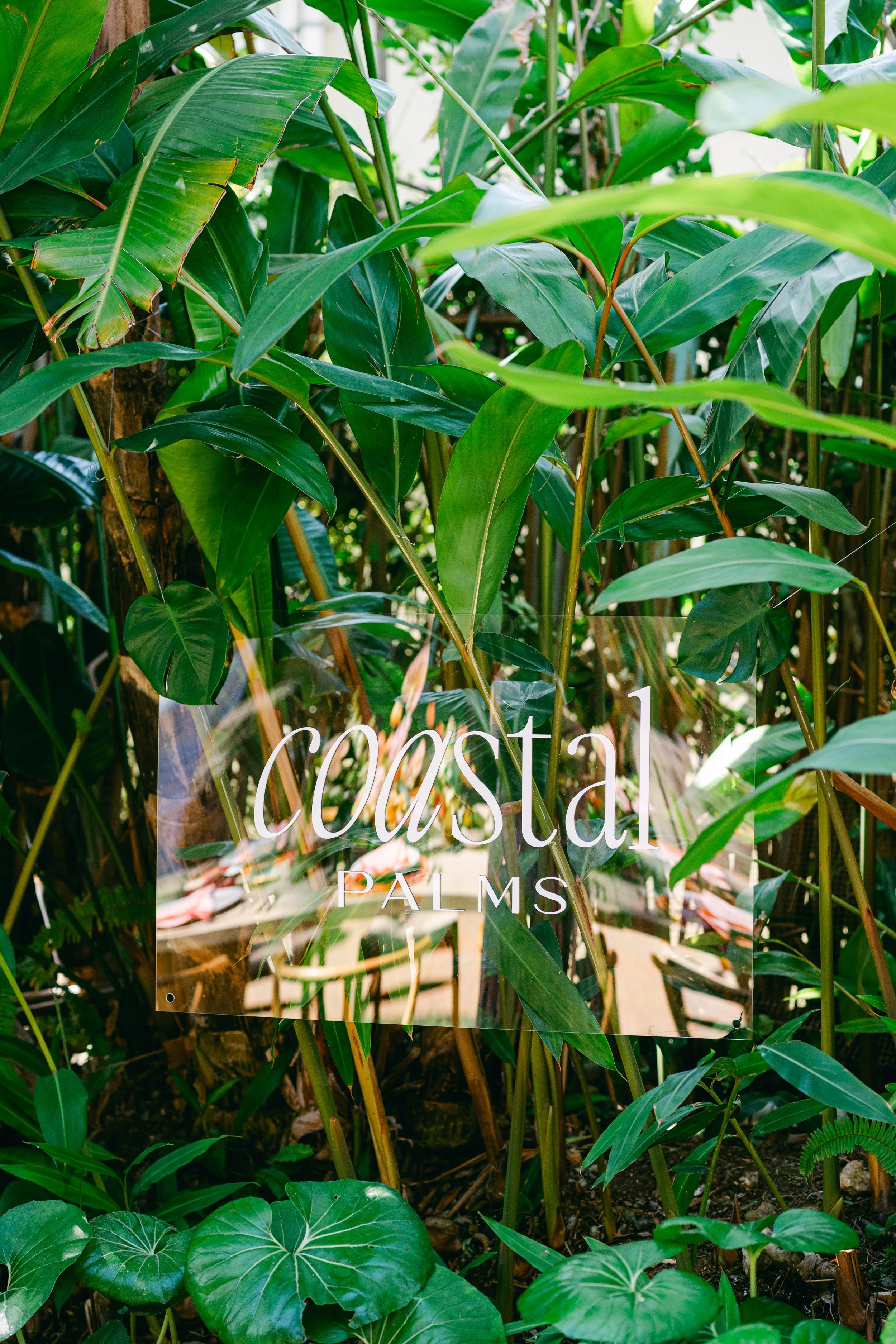 March Curate CA Coast Palms Event-264.jpg