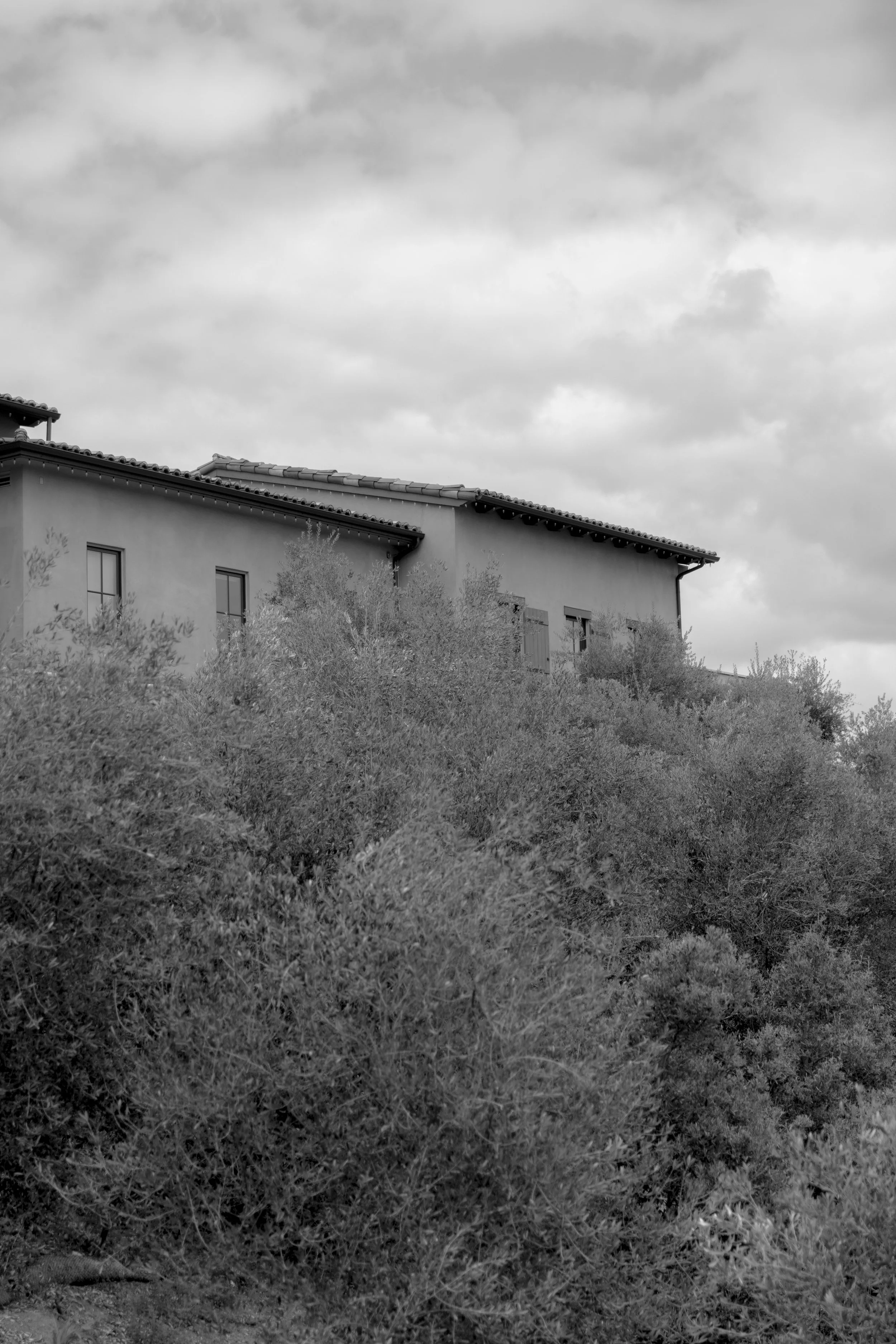 Matthew_Hanlon_Photography_0009.jpg
