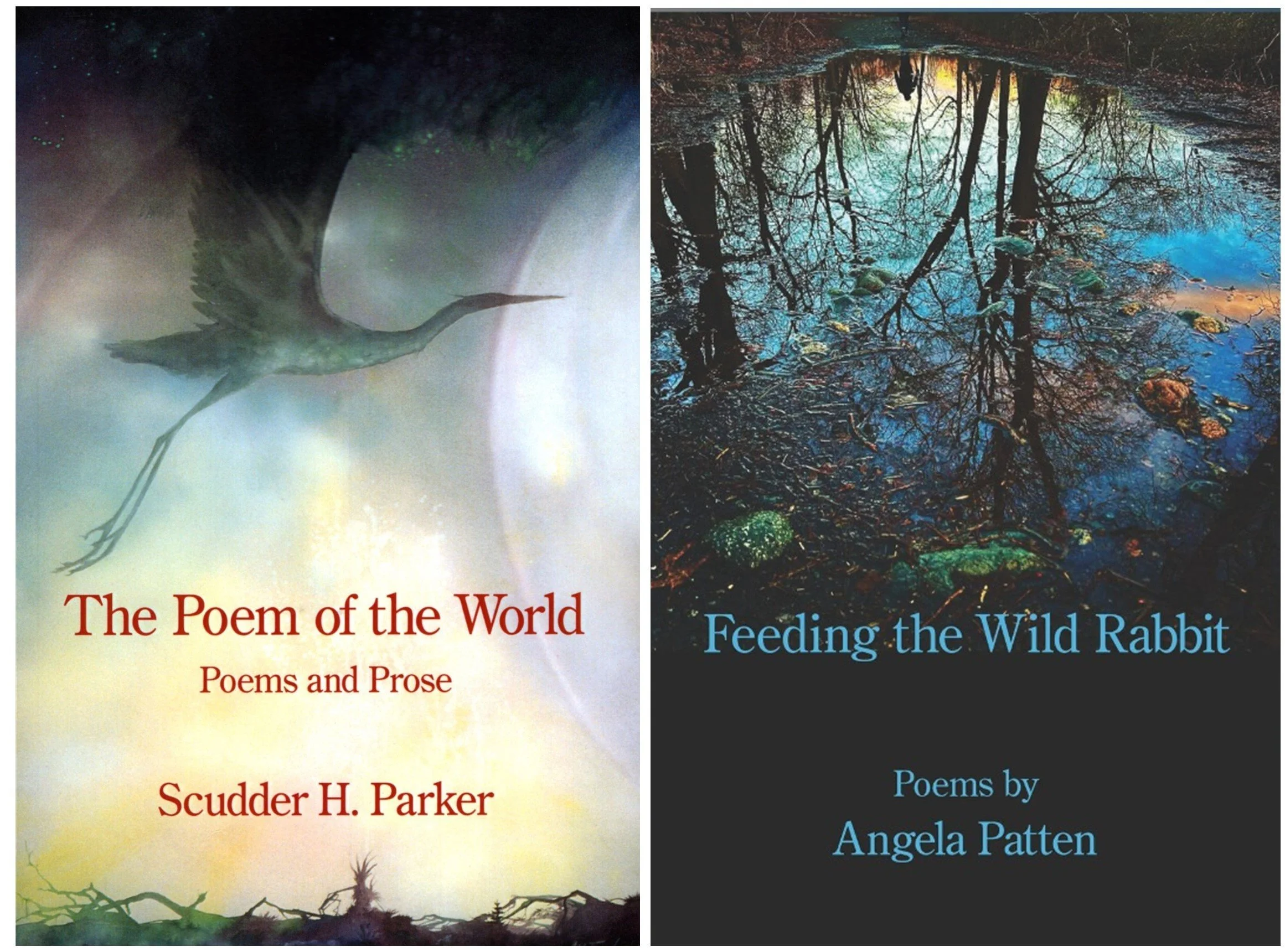Poetry Reading: St. Johnsbury, VT