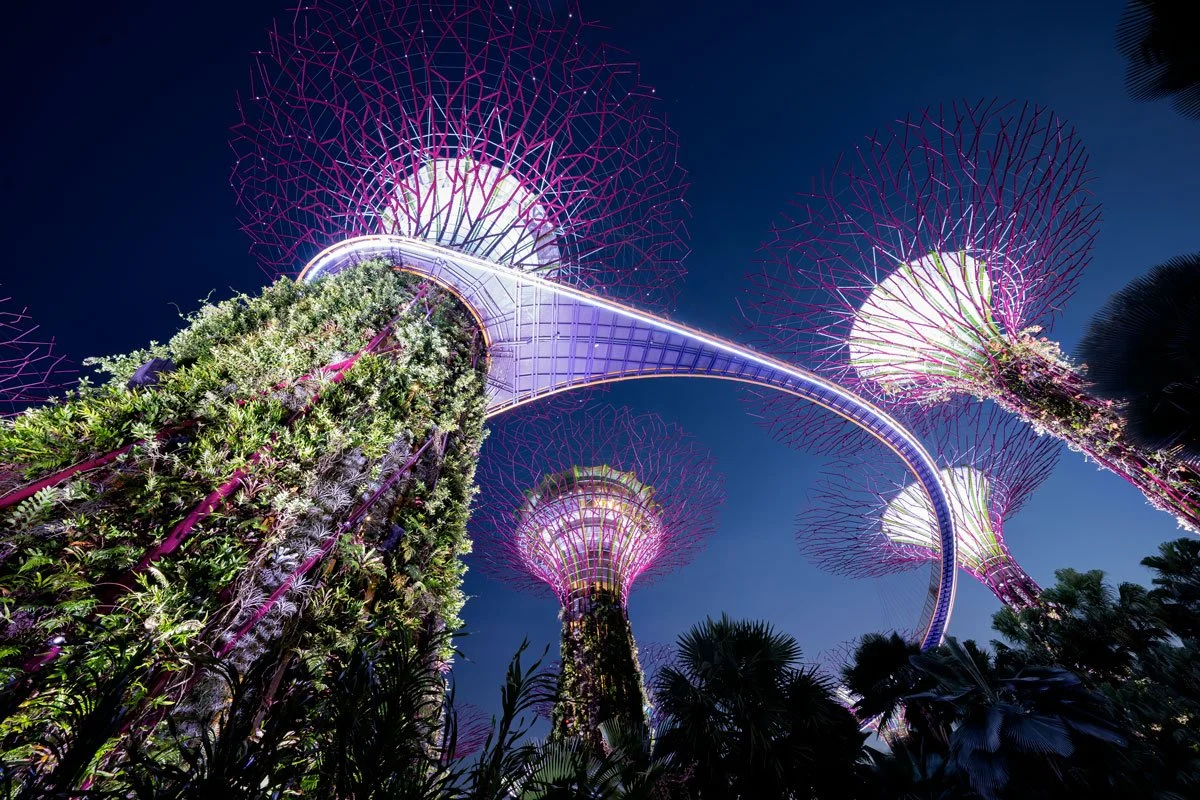 Super Tree Gardens by the Bay Singapore