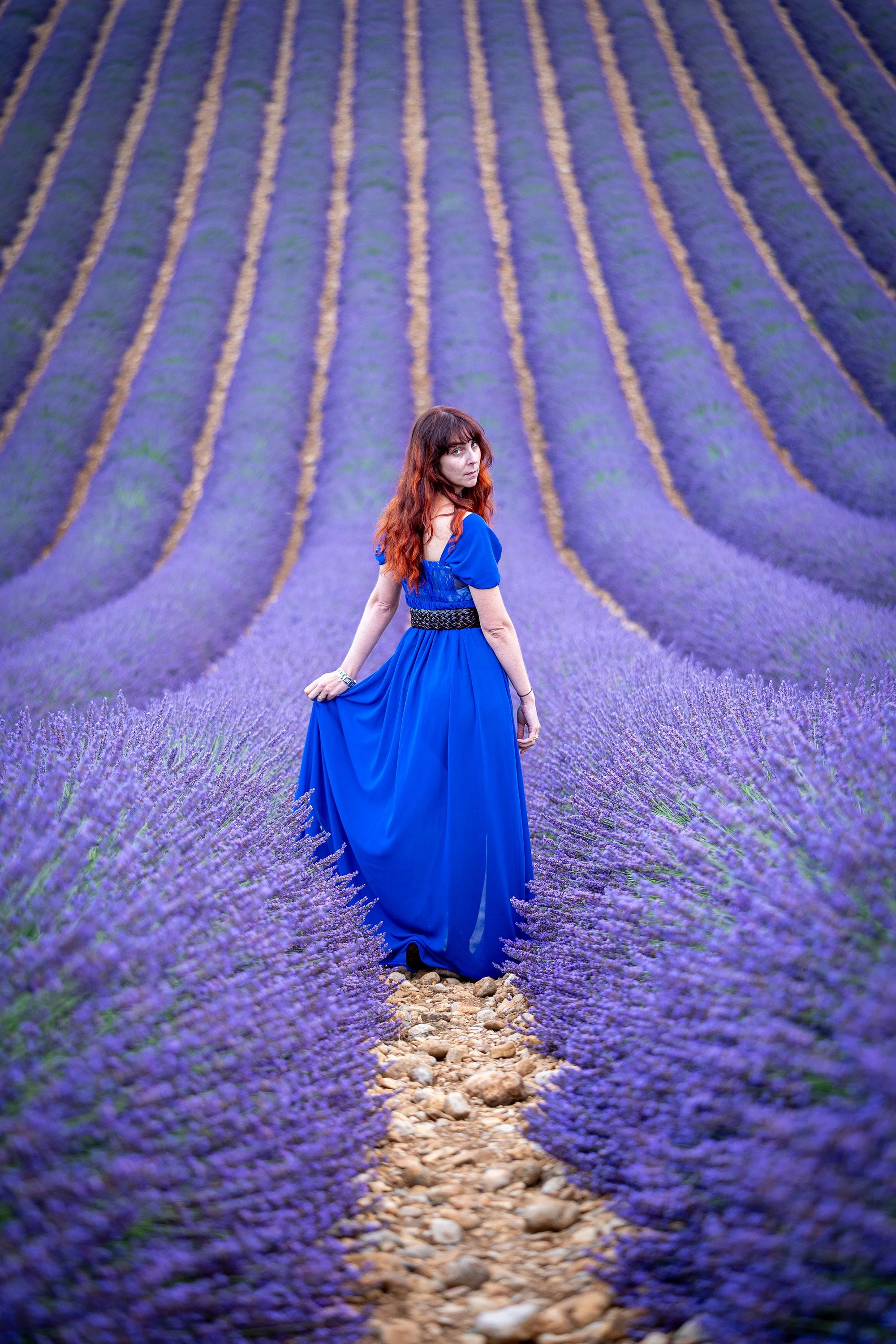 lady on a lavander field with blu dress at sunset in valensole france