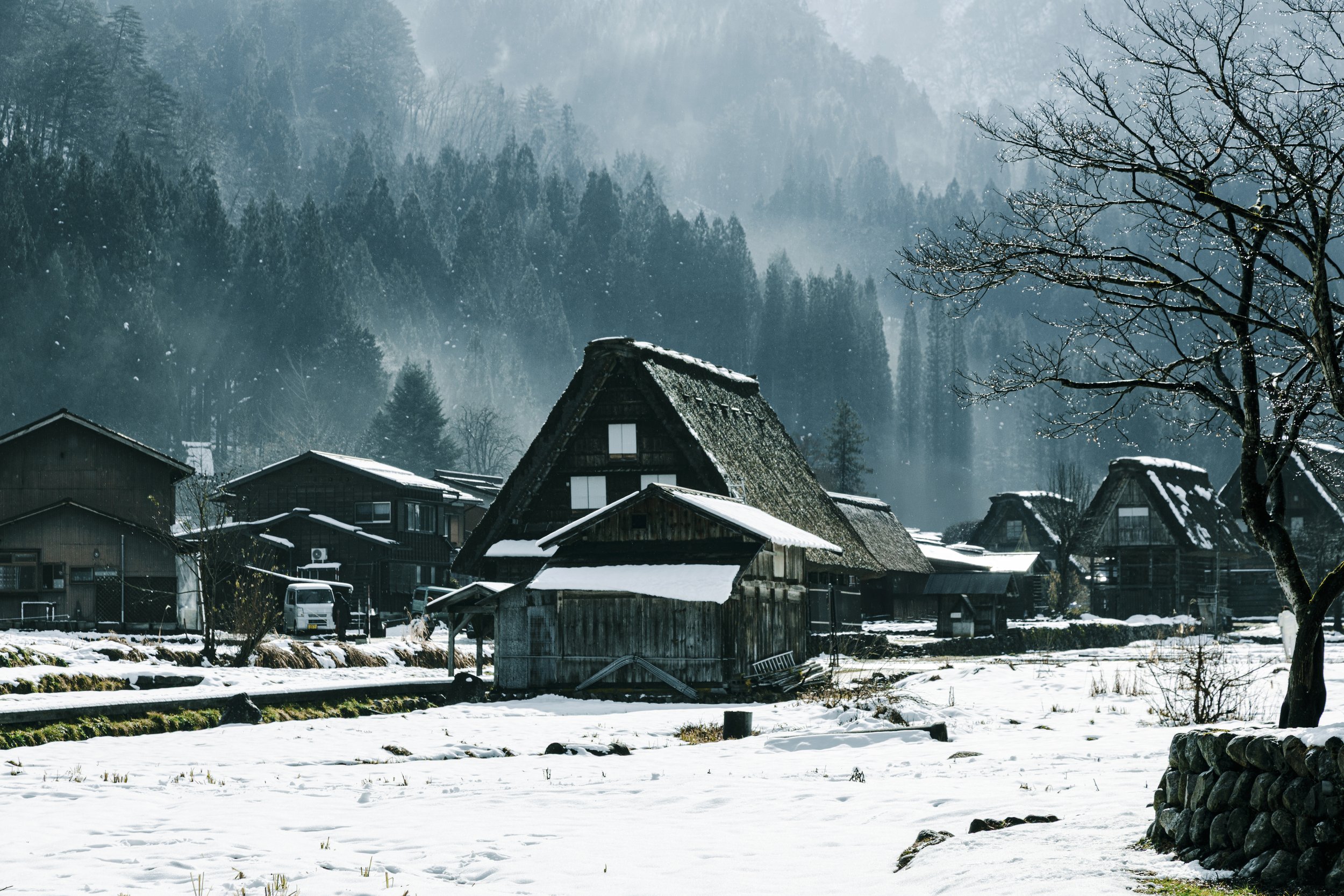 Winter Silence in Japan