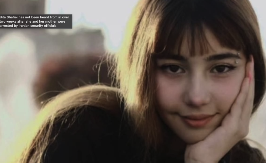 De Verdwenen Stem: Wie is Bita Shafiei?