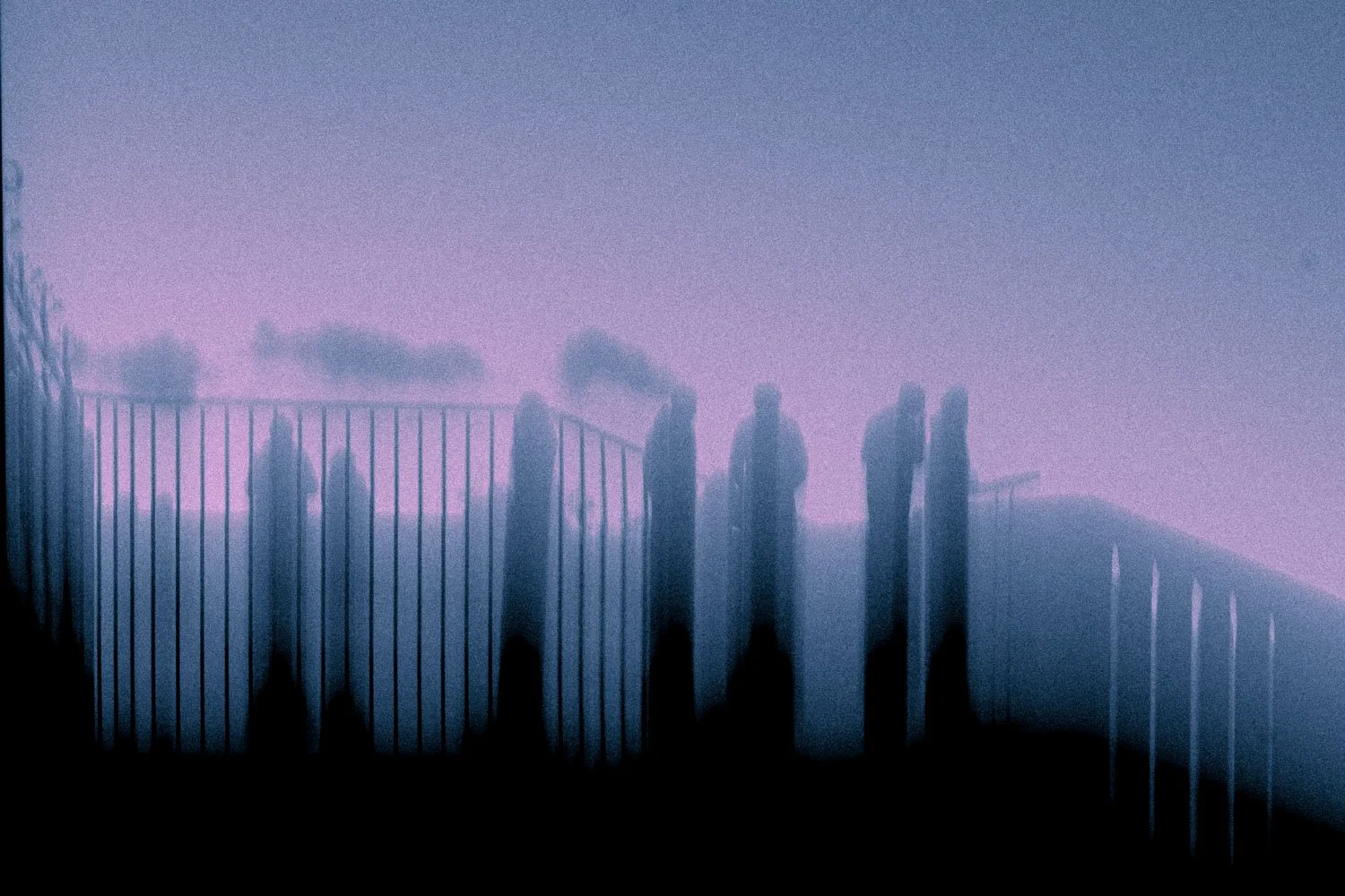 A7304603_1.jpg