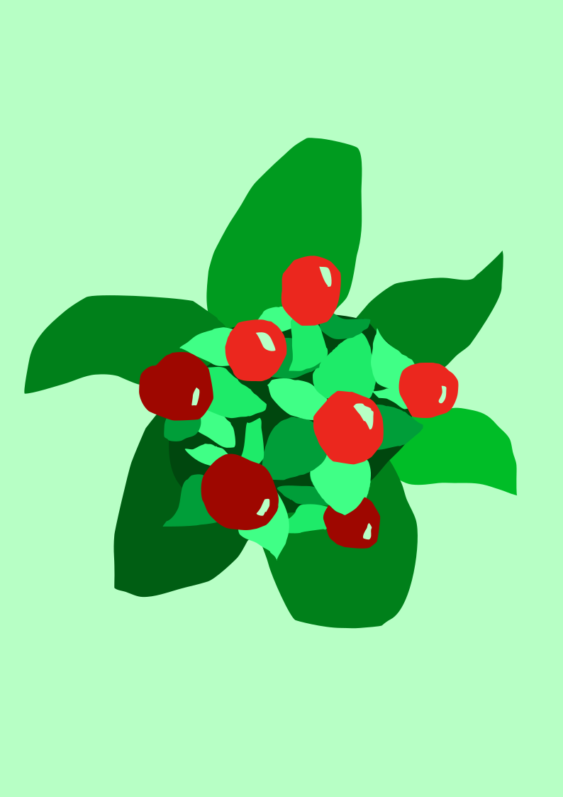 A vector design of berries, exploring red and green as complementary colours.