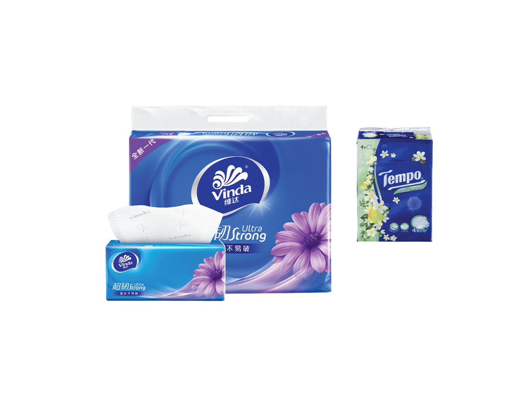 Box of Vinda ultra strong tissues with a tissue partially pulled out, a pack of Tempo laundry detergent pods, and a box of Vinda ultra strong soap