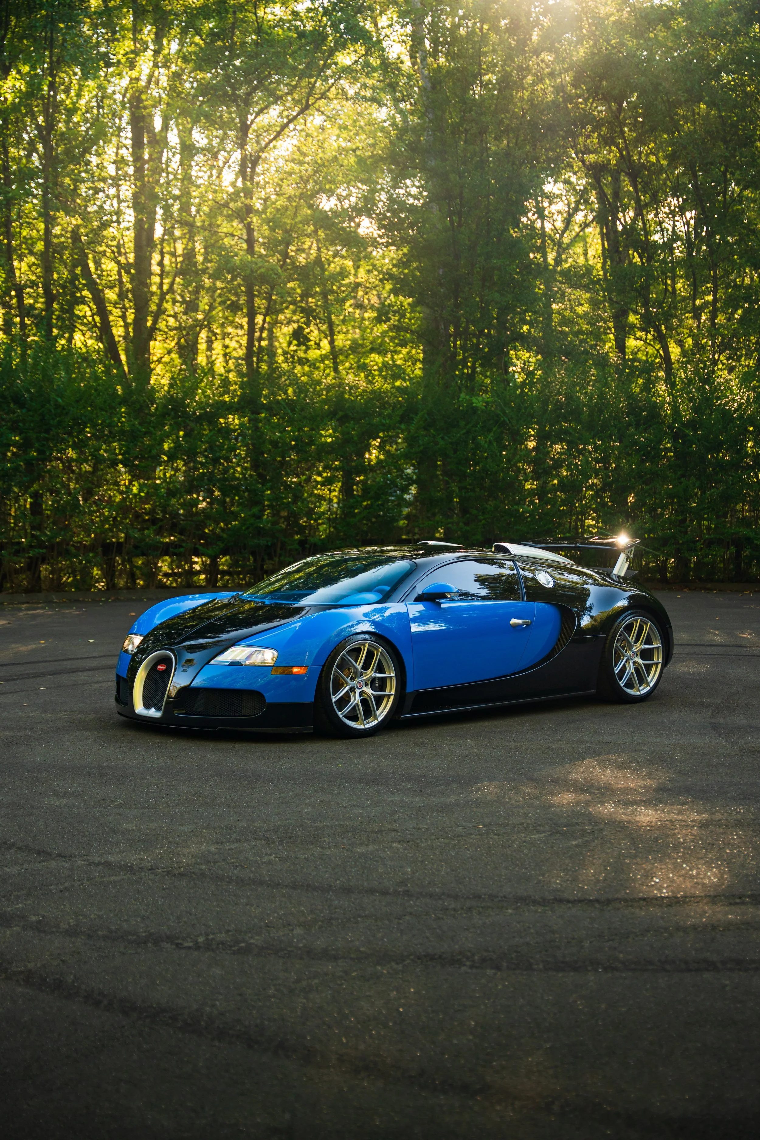 tcc_bugattiveyronblublk-001 copy.jpg