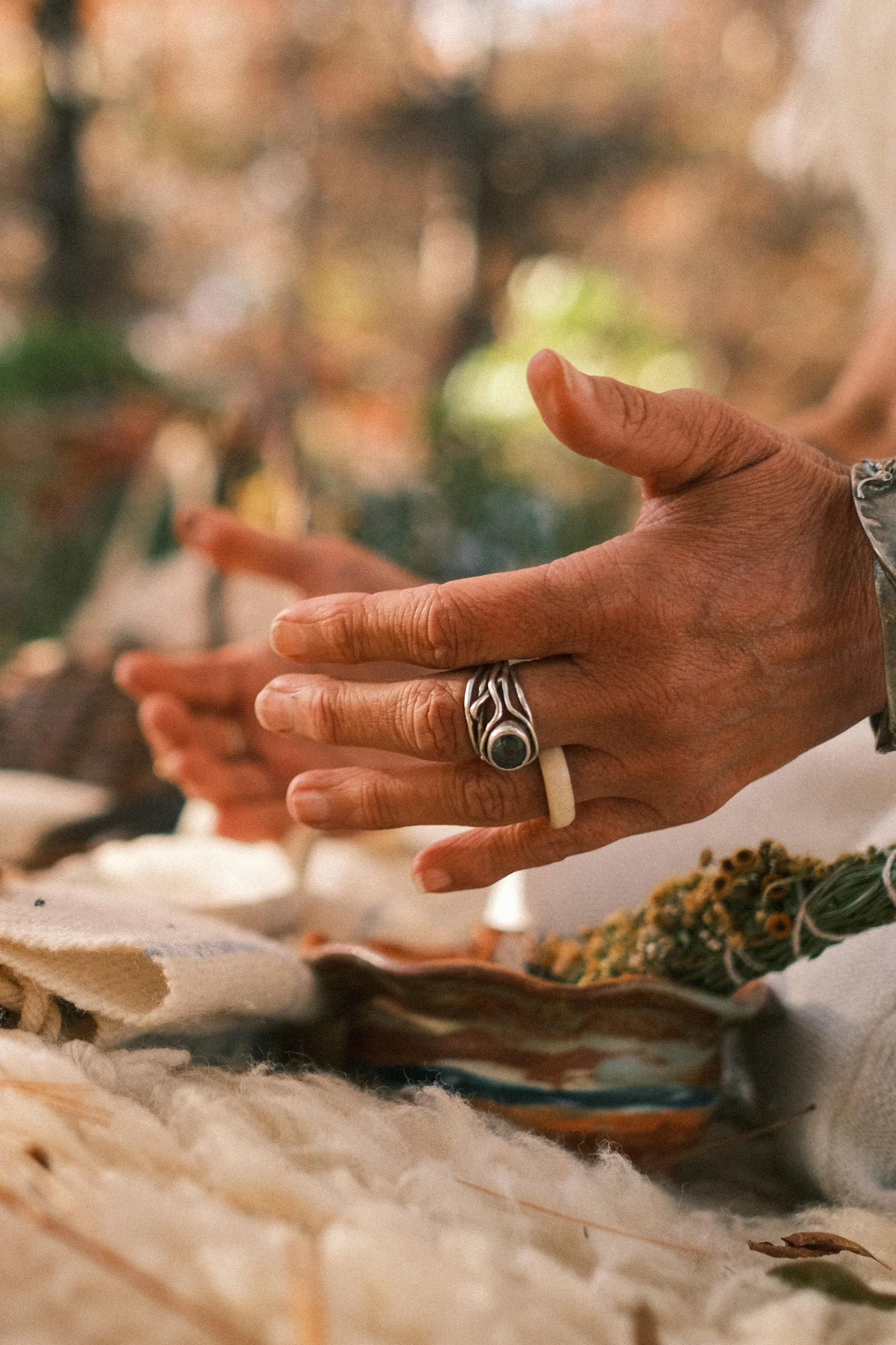 Amanda Ring Untamed Fall 2025-124.jpg