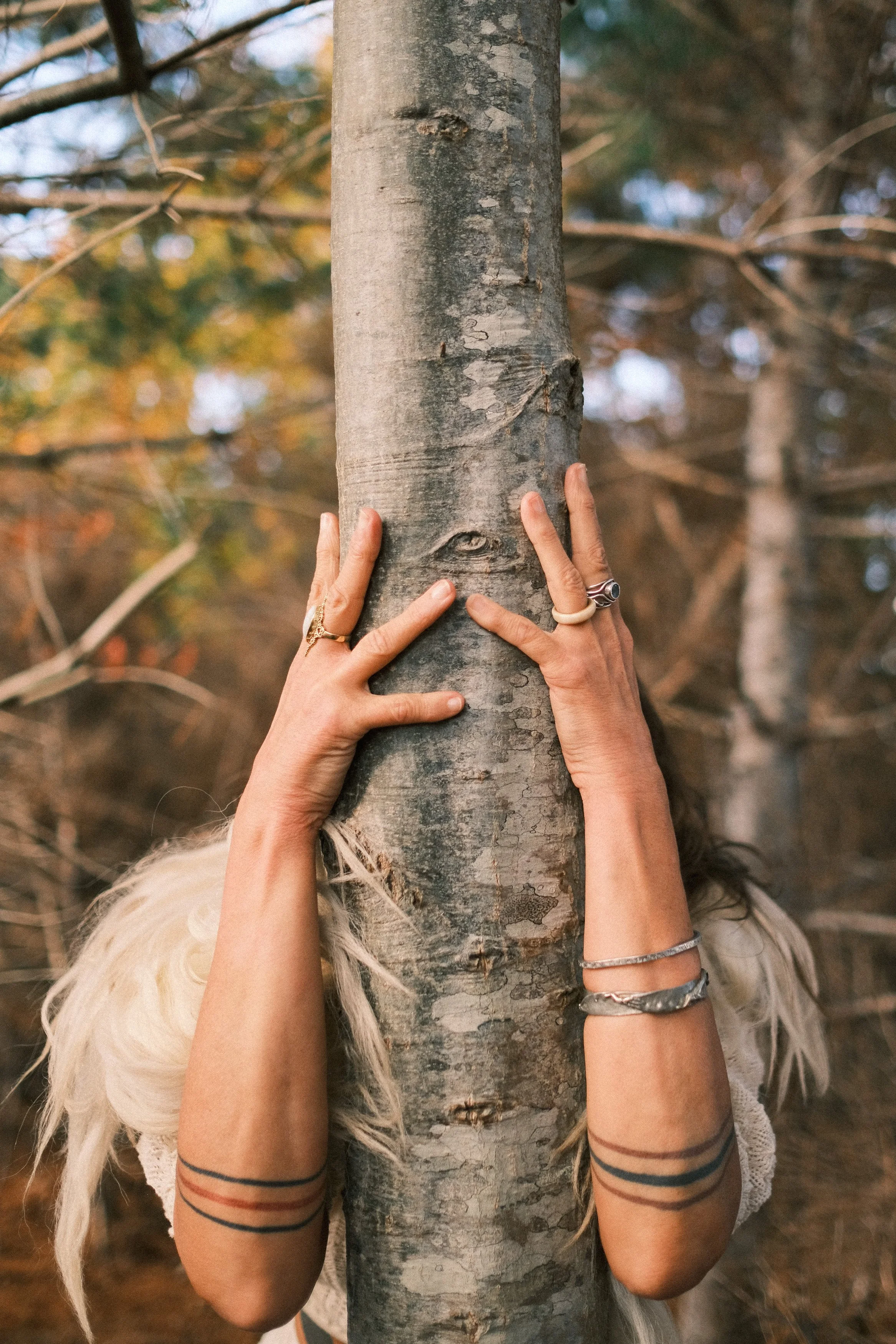 Person with tattoos and rings hugging a tree in a forest during fall.
