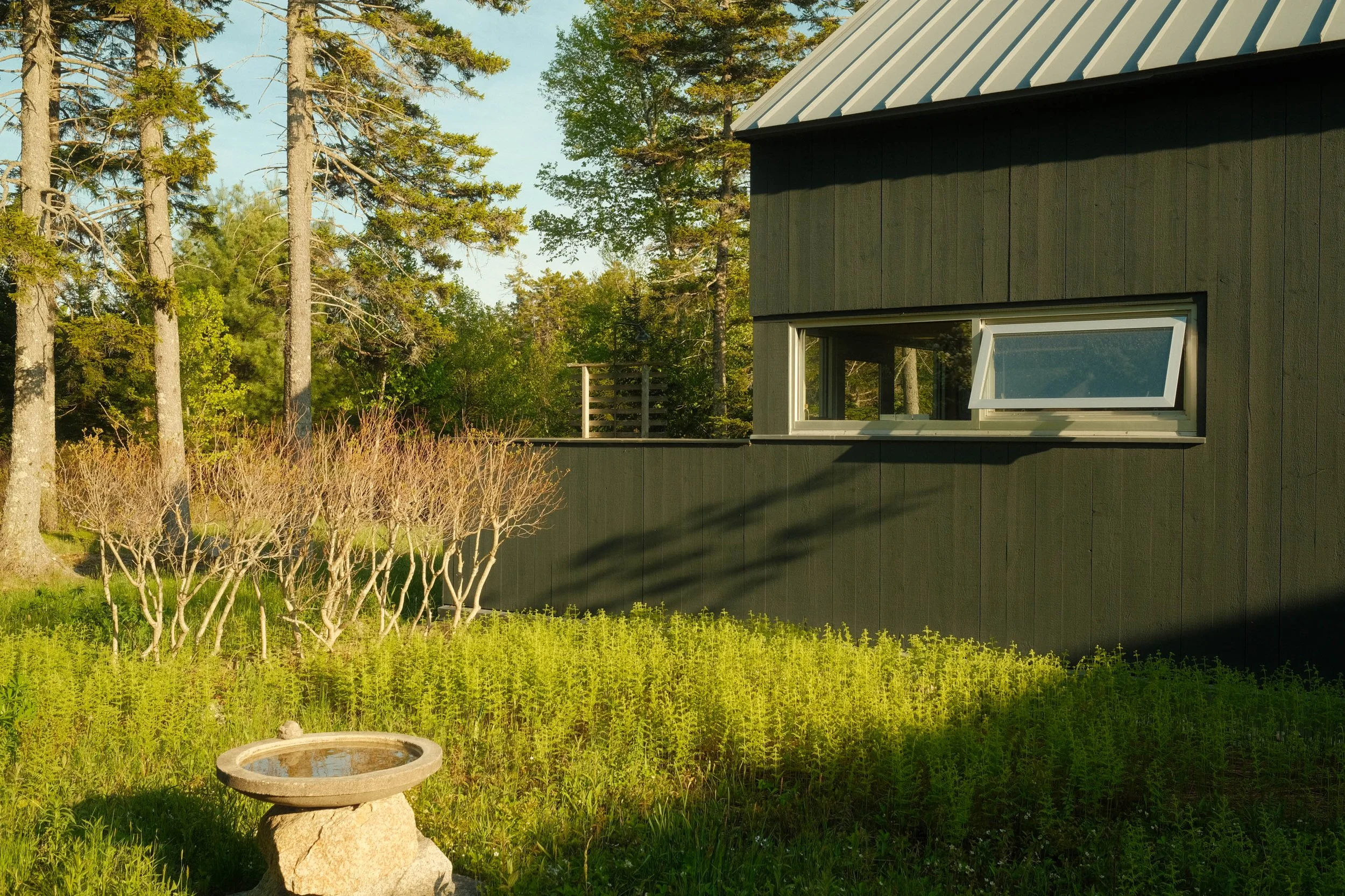 A black house with a metal roof, surrounded by trees and greenery, with a large window and a decorative birdbath in the yard.