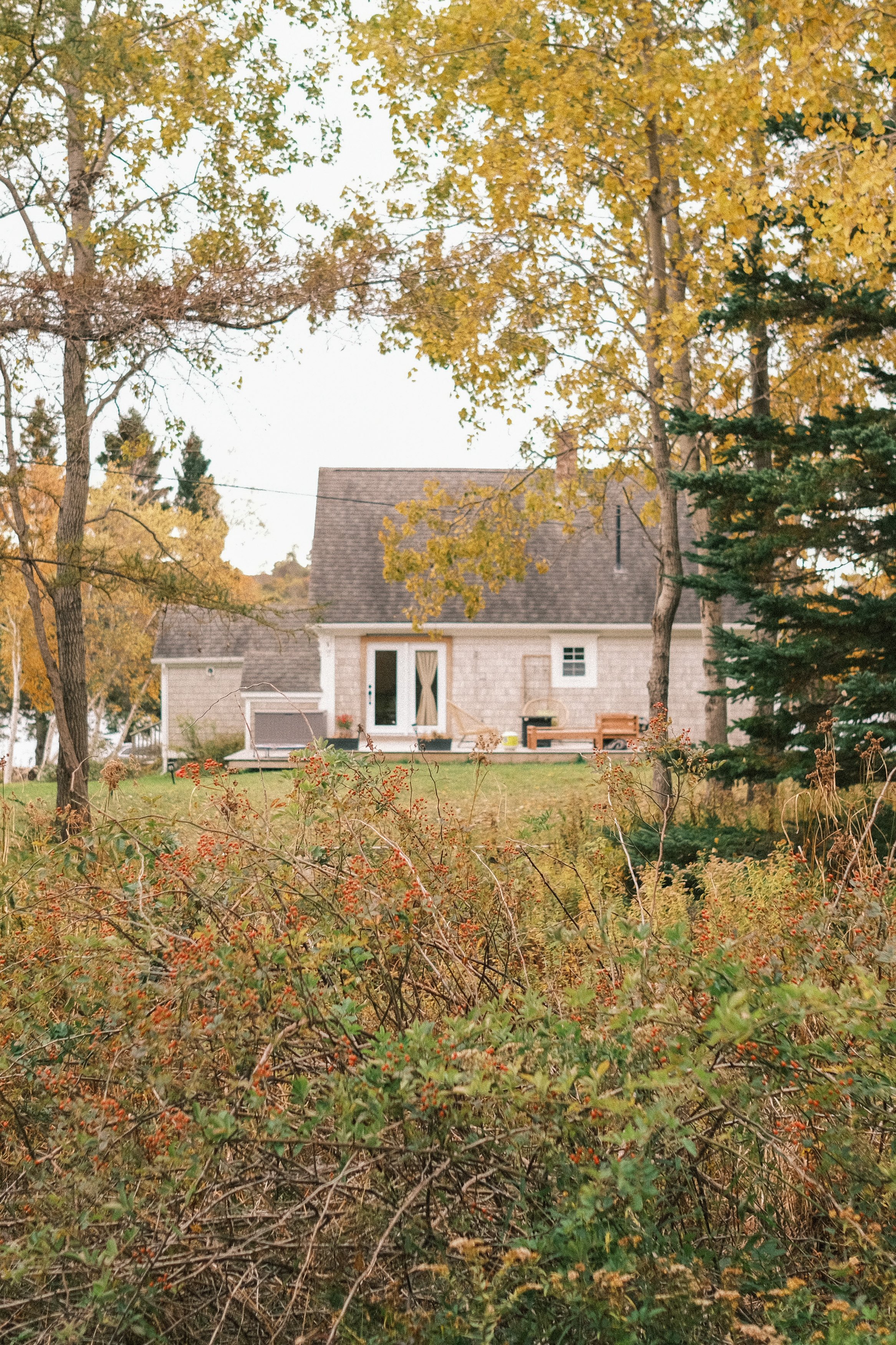 A house with a large yard, surrounded by trees with fall foliage, and bushes with red berries in the foreground.