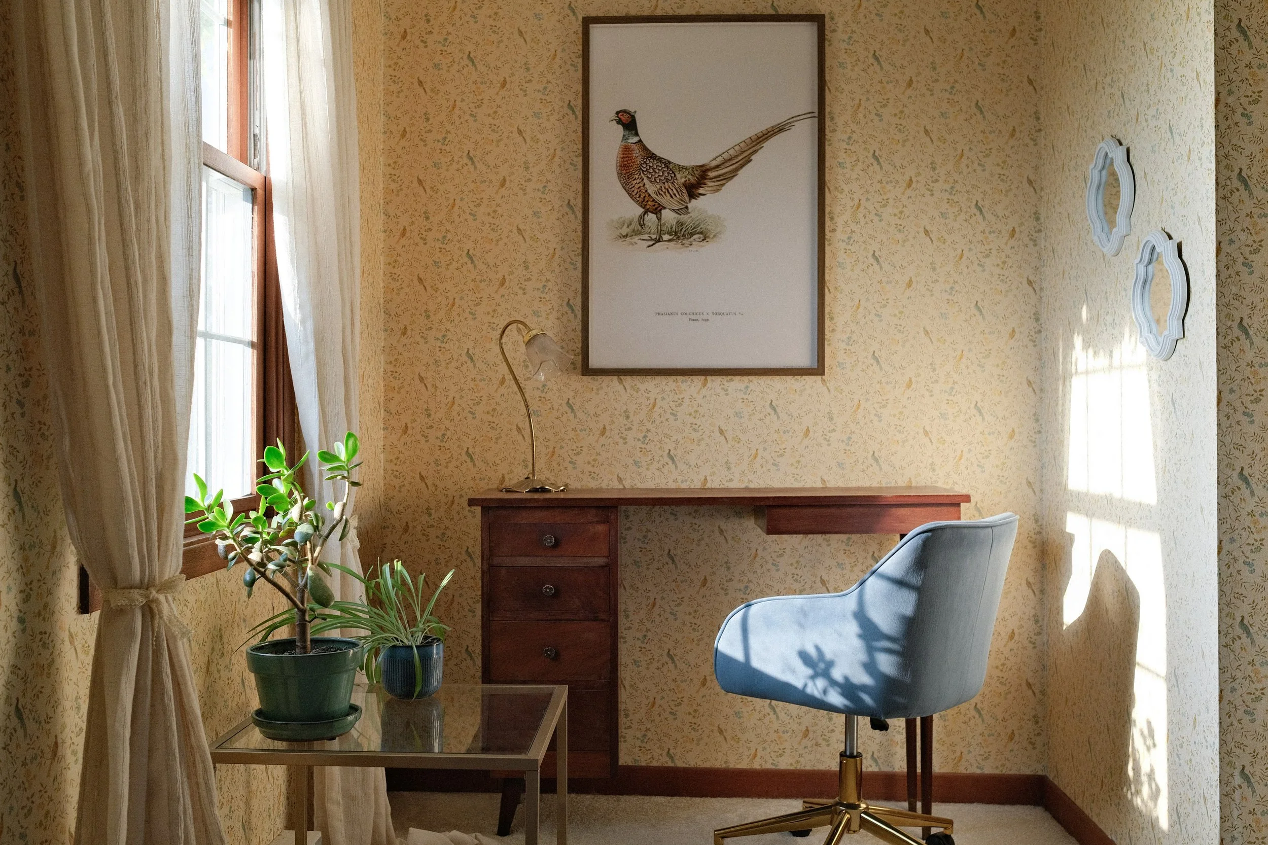 A cozy home office corner with a wooden desk, a blue swivel chair, a small side table with potted plants, a framed bird illustration on the wall, and sunlight streaming through a window with cream curtains.