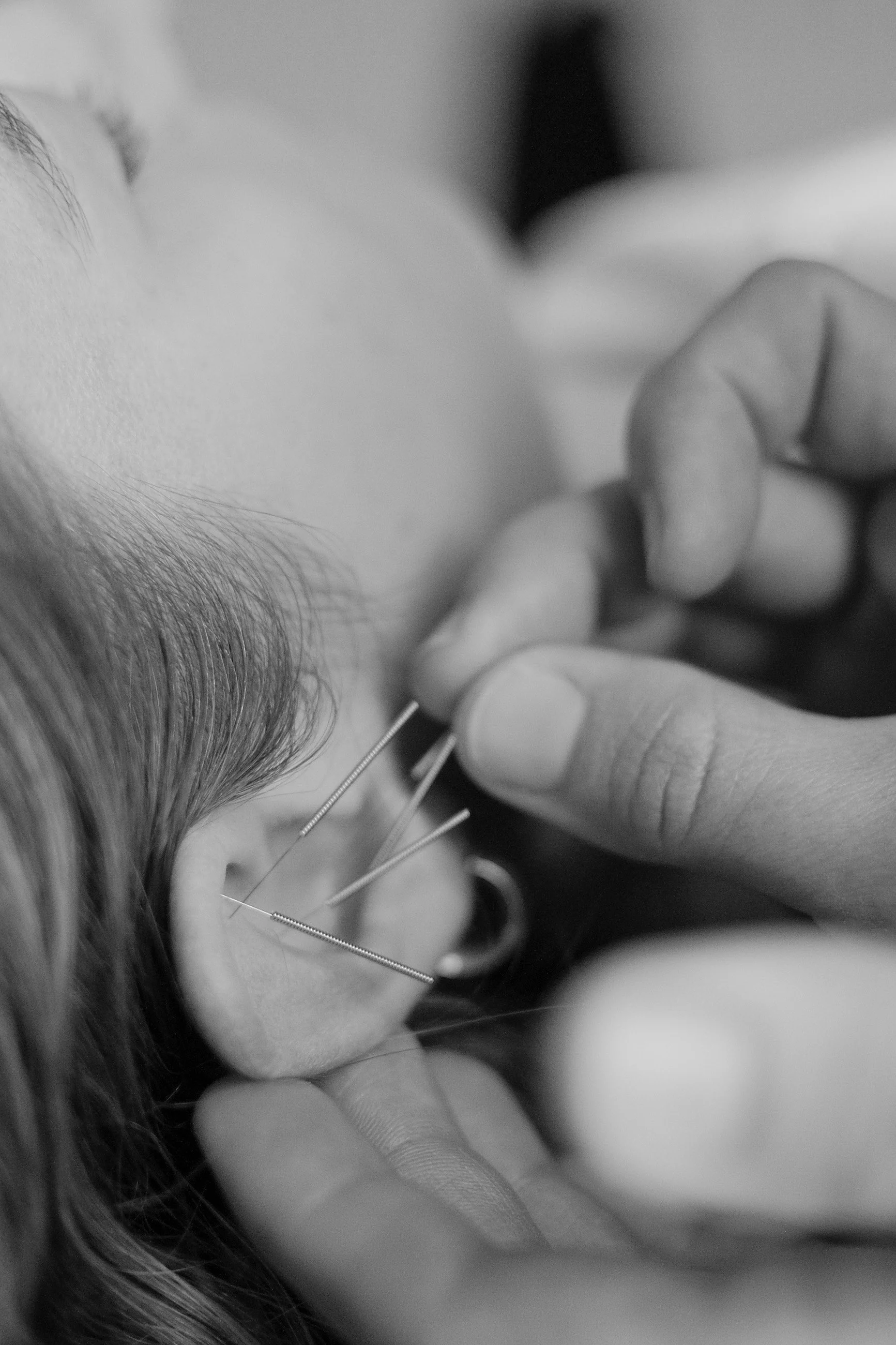 Snowy Owl Acupuncture Fall 2025 web res-103.jpg