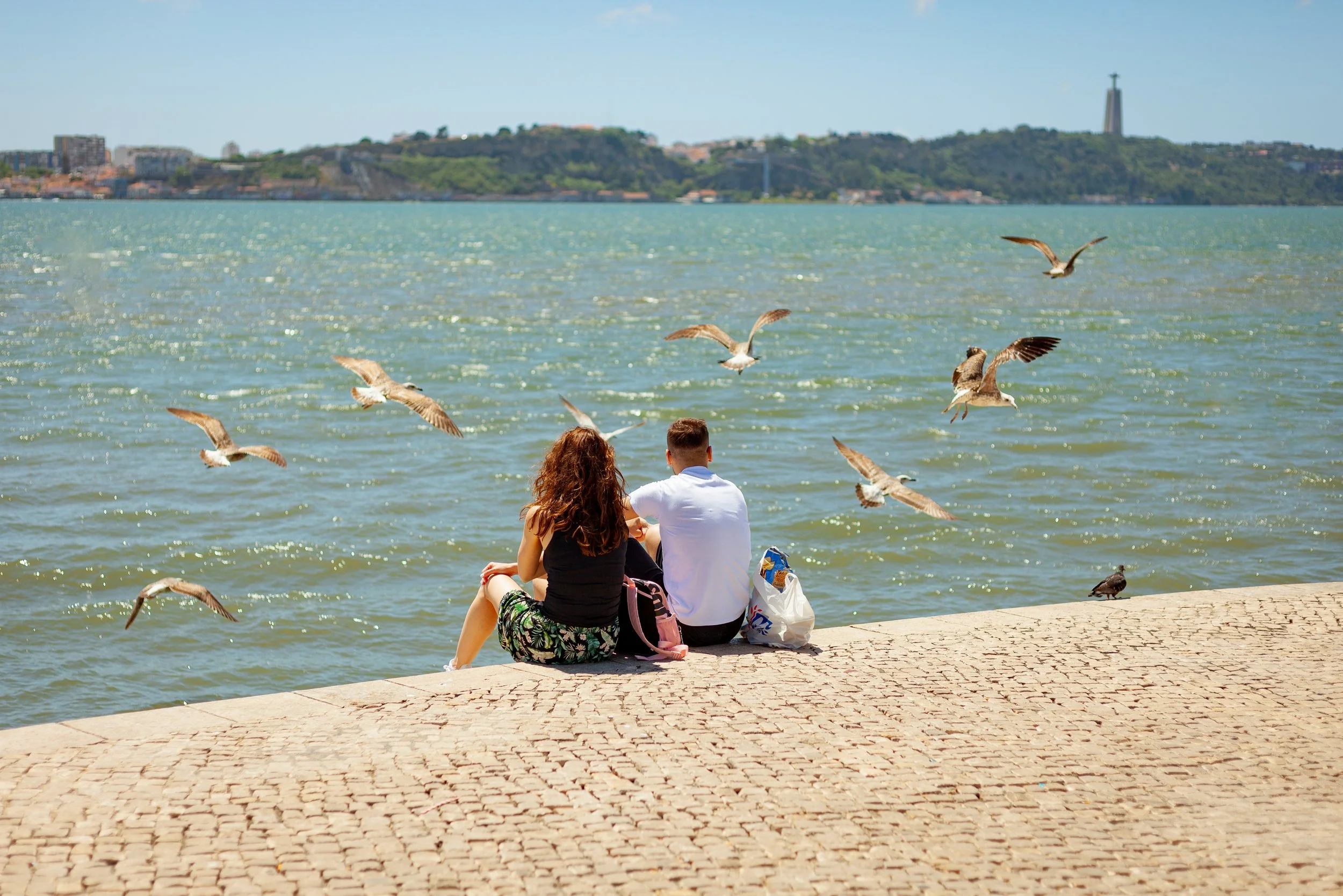 A couple sitting on a paved waterfront, facing the water, with seagulls flying overhead and some birds on the ground, with a cityscape and hills in the background.