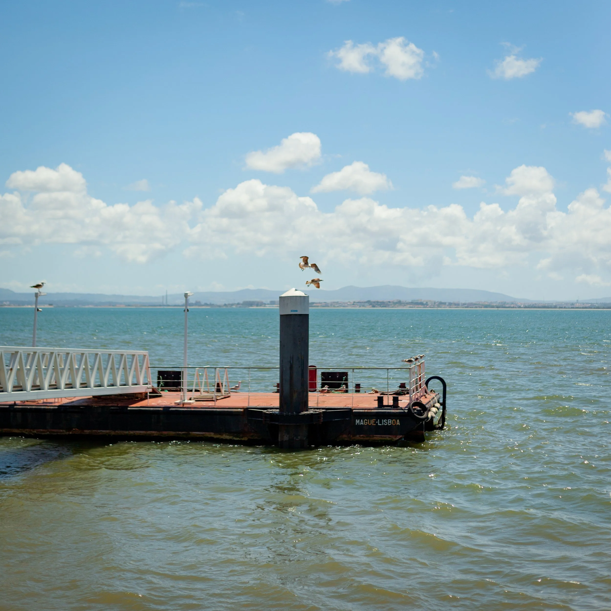 A pier extends into a large body of water with seagulls flying over it. The sky is partly cloudy with a distant shoreline and mountains in the background.