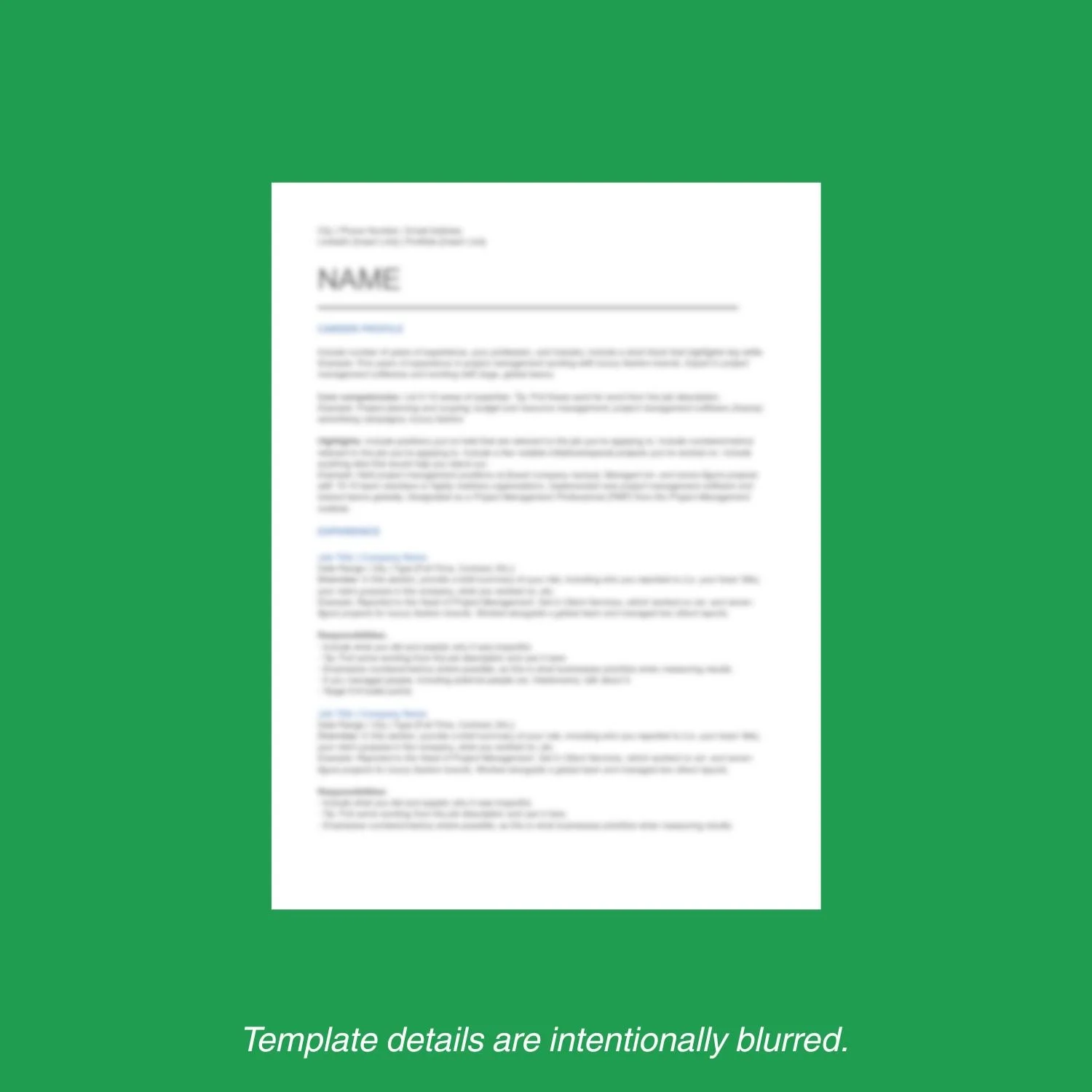 Careers In Fashion - Resume Template.jpg