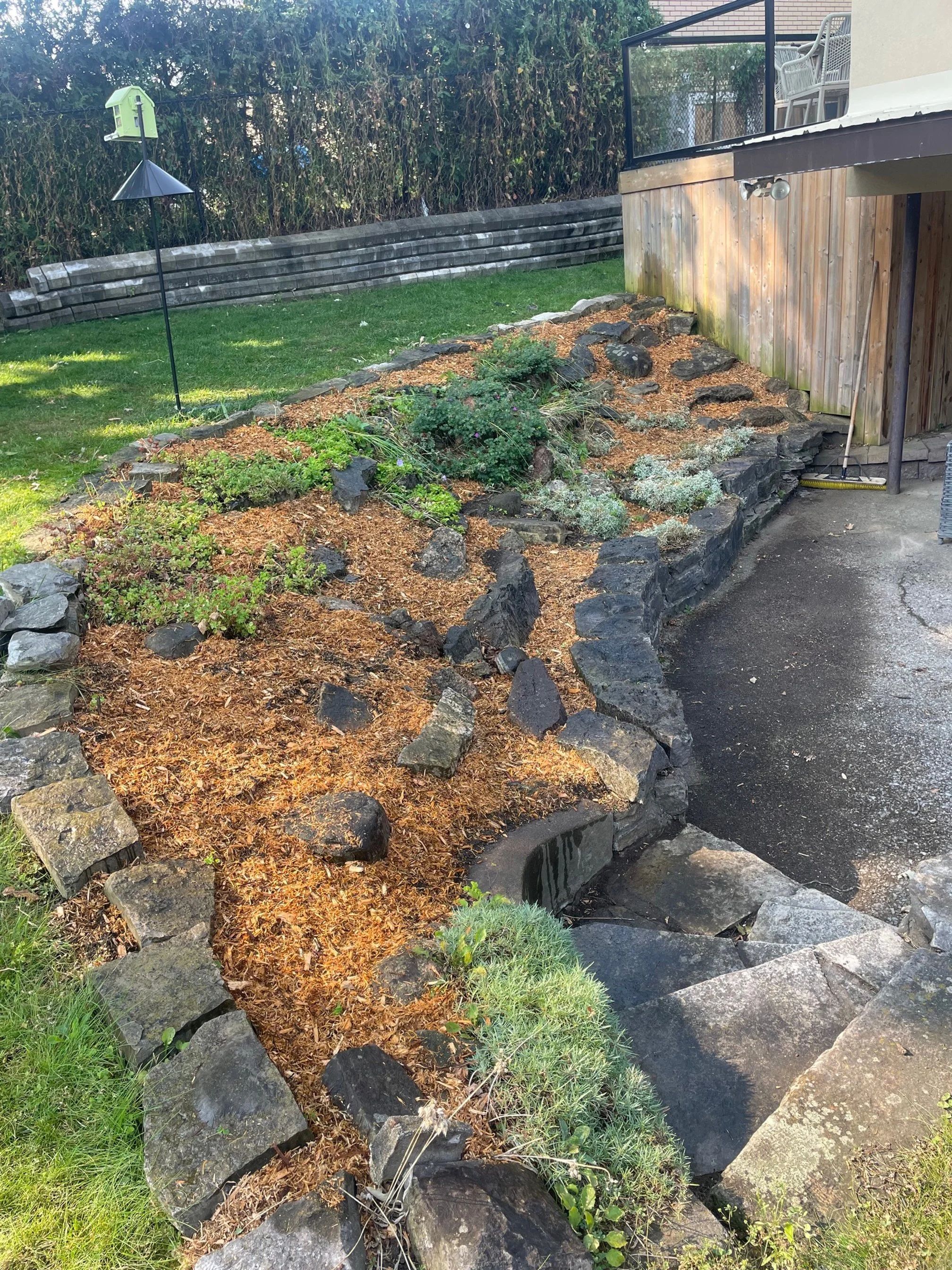 Mulch 4.jpg