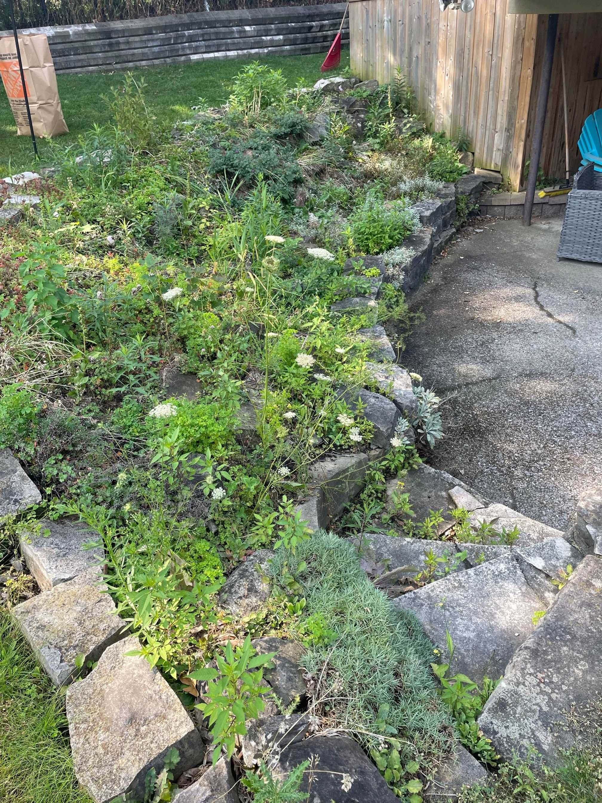 Mulch 3.jpg