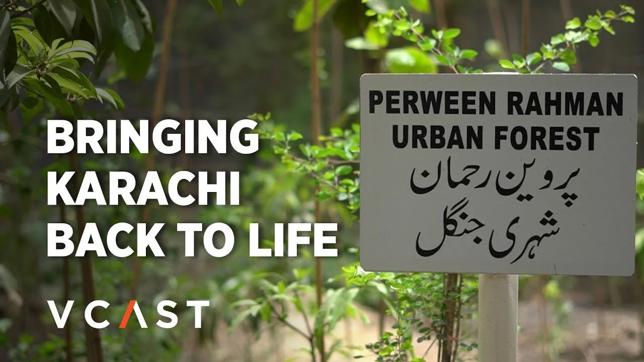 The Perween Rahman Urban Forest