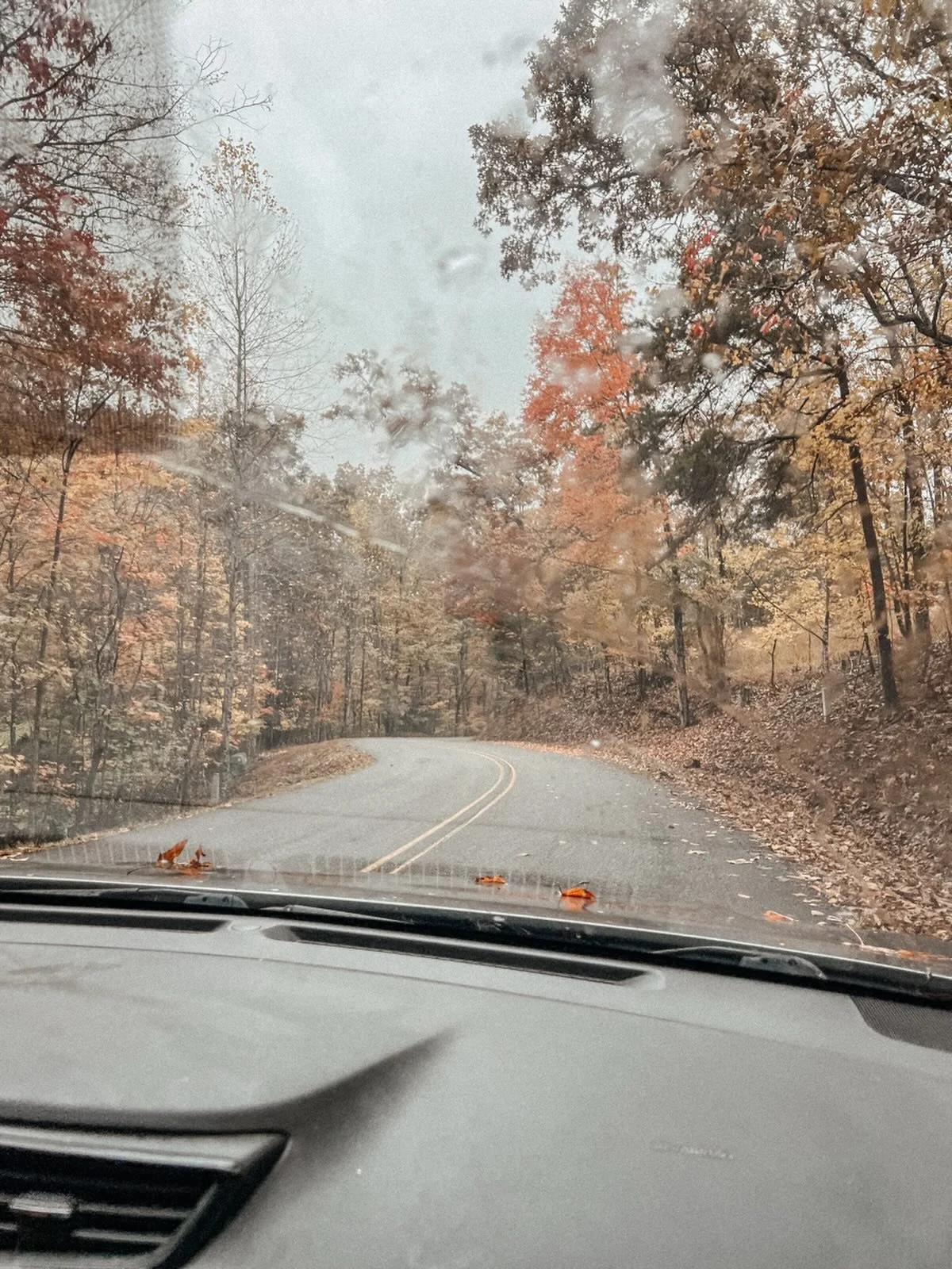 Starting a go fund me so I can move to the mountains 🏔️.