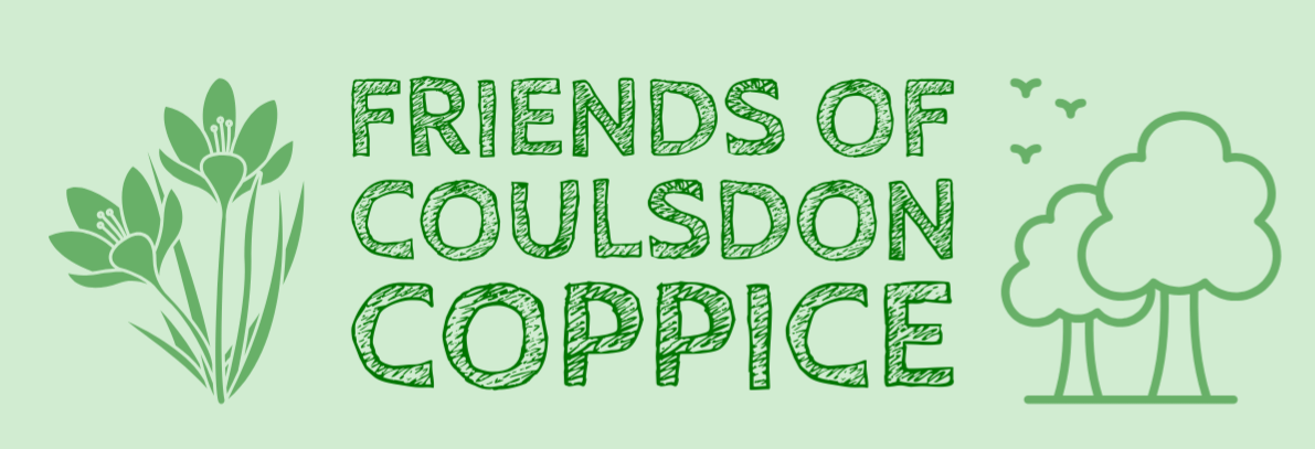 Green background with illustrations of flowers, trees, and flying birds, and text reading 'Friends of Coulsdon Coppice' in a leafy font.