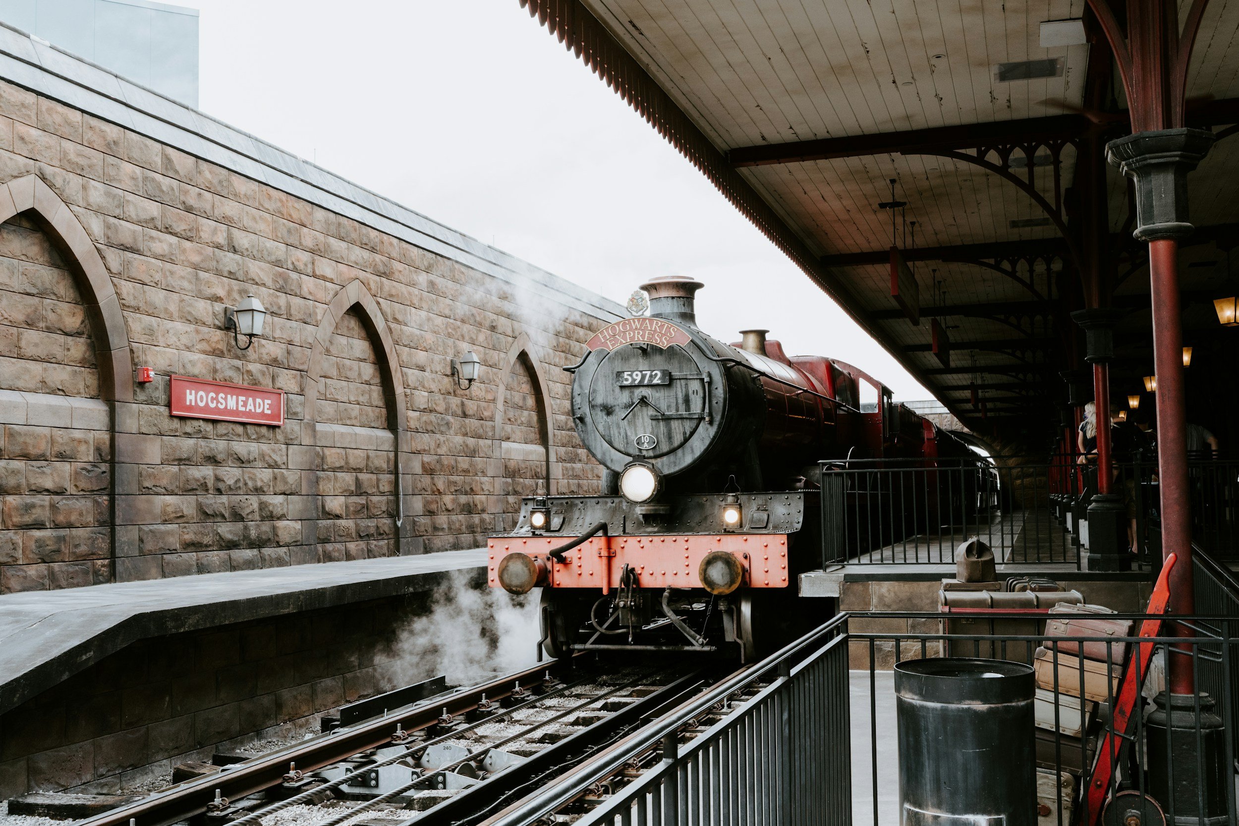 The Train of Life