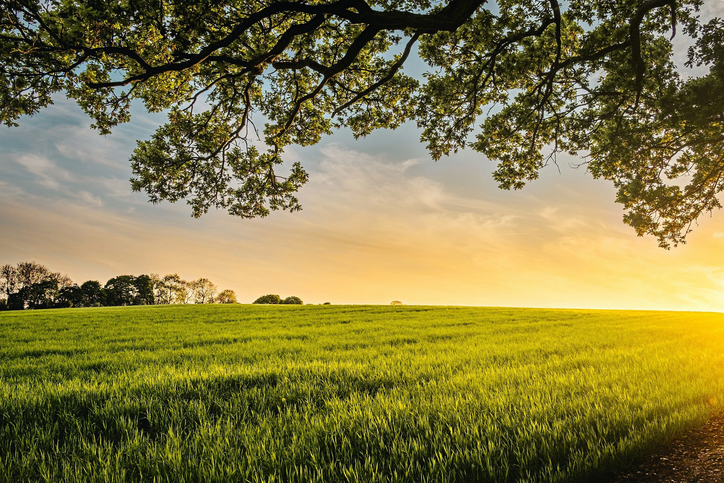 Abundance is Opportunity