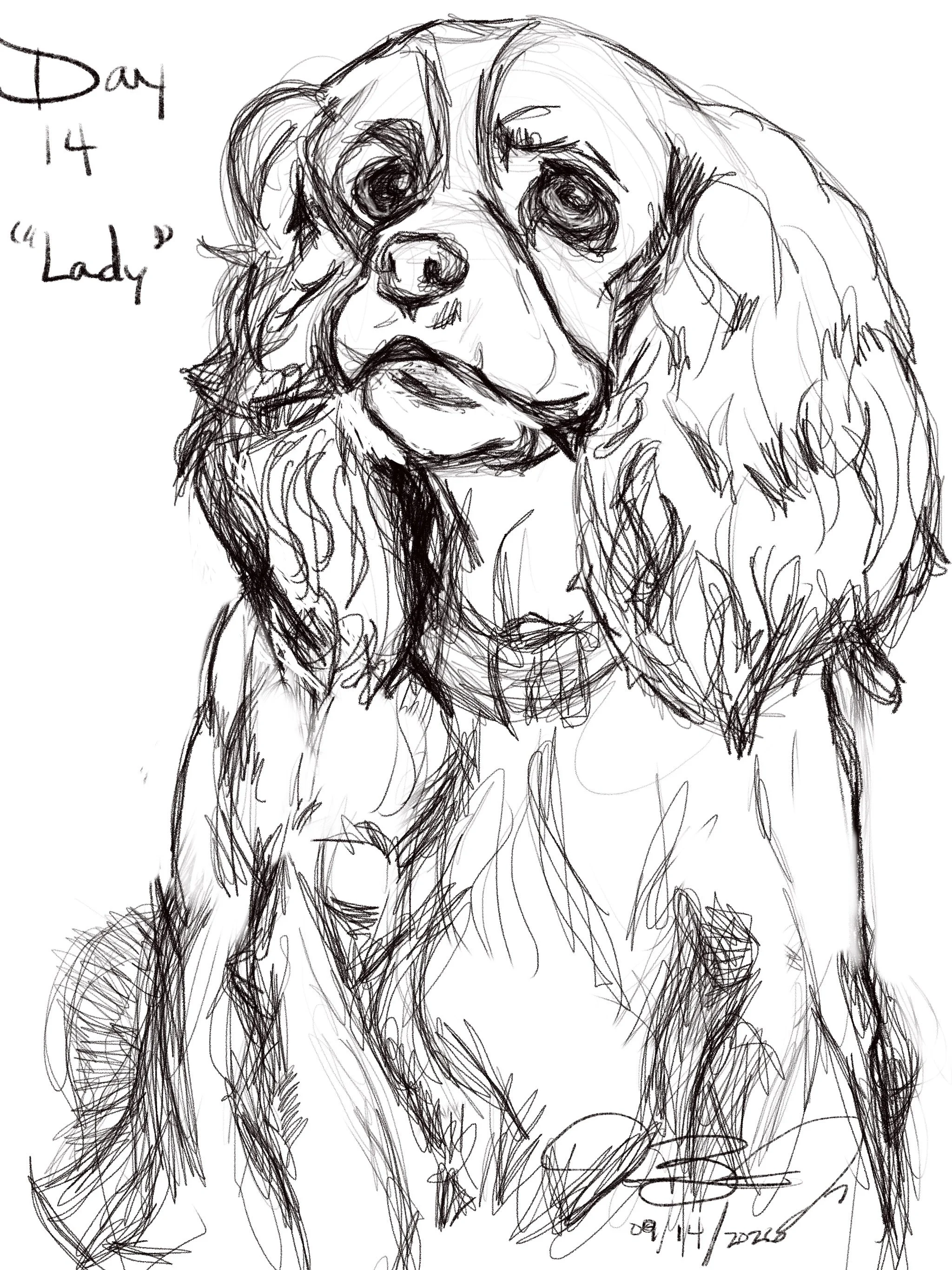 Day 14- “Lady”