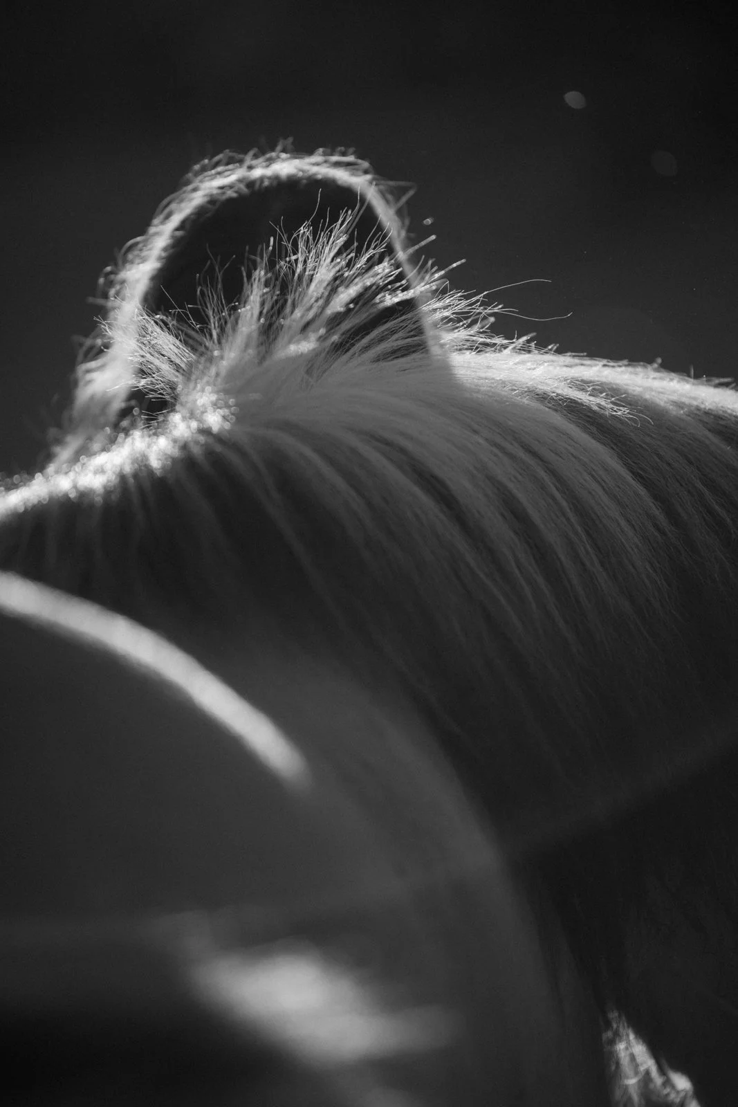 DSC_3971.JPG