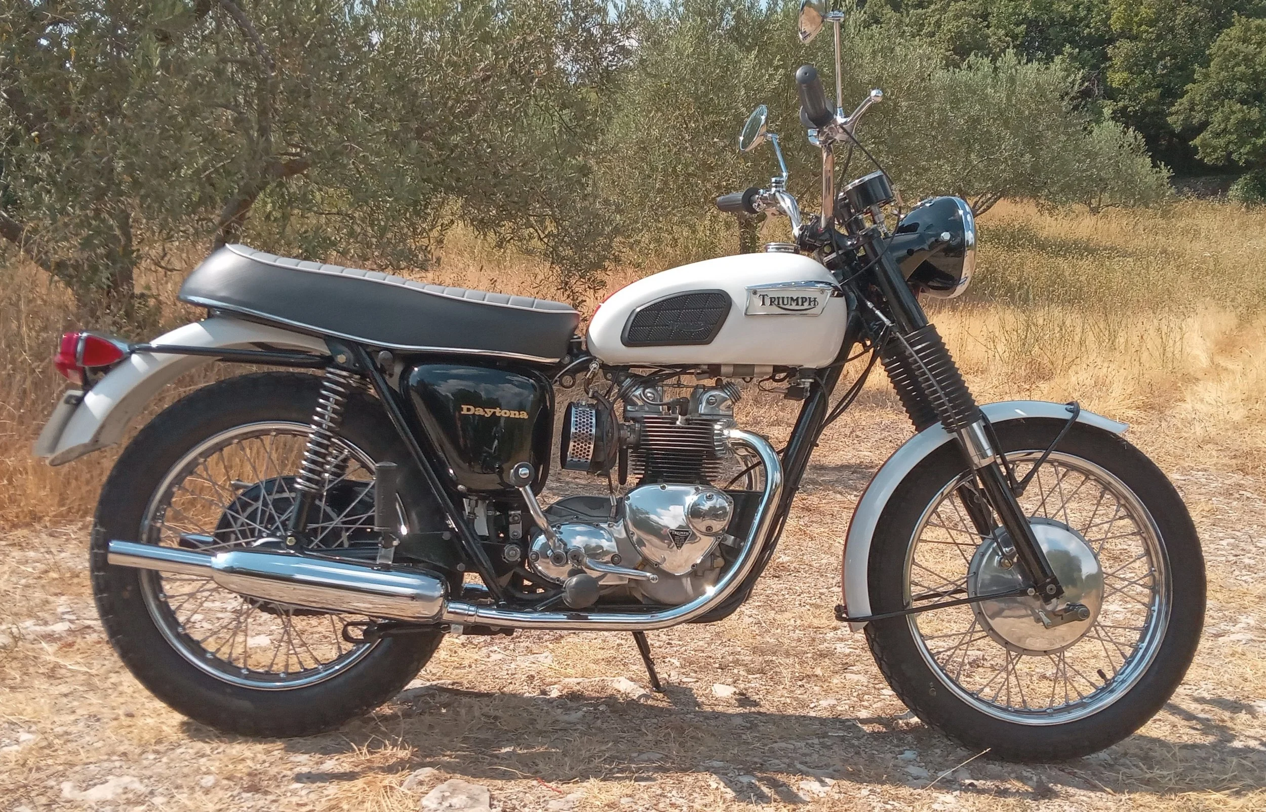 Triumph T100R Daytona