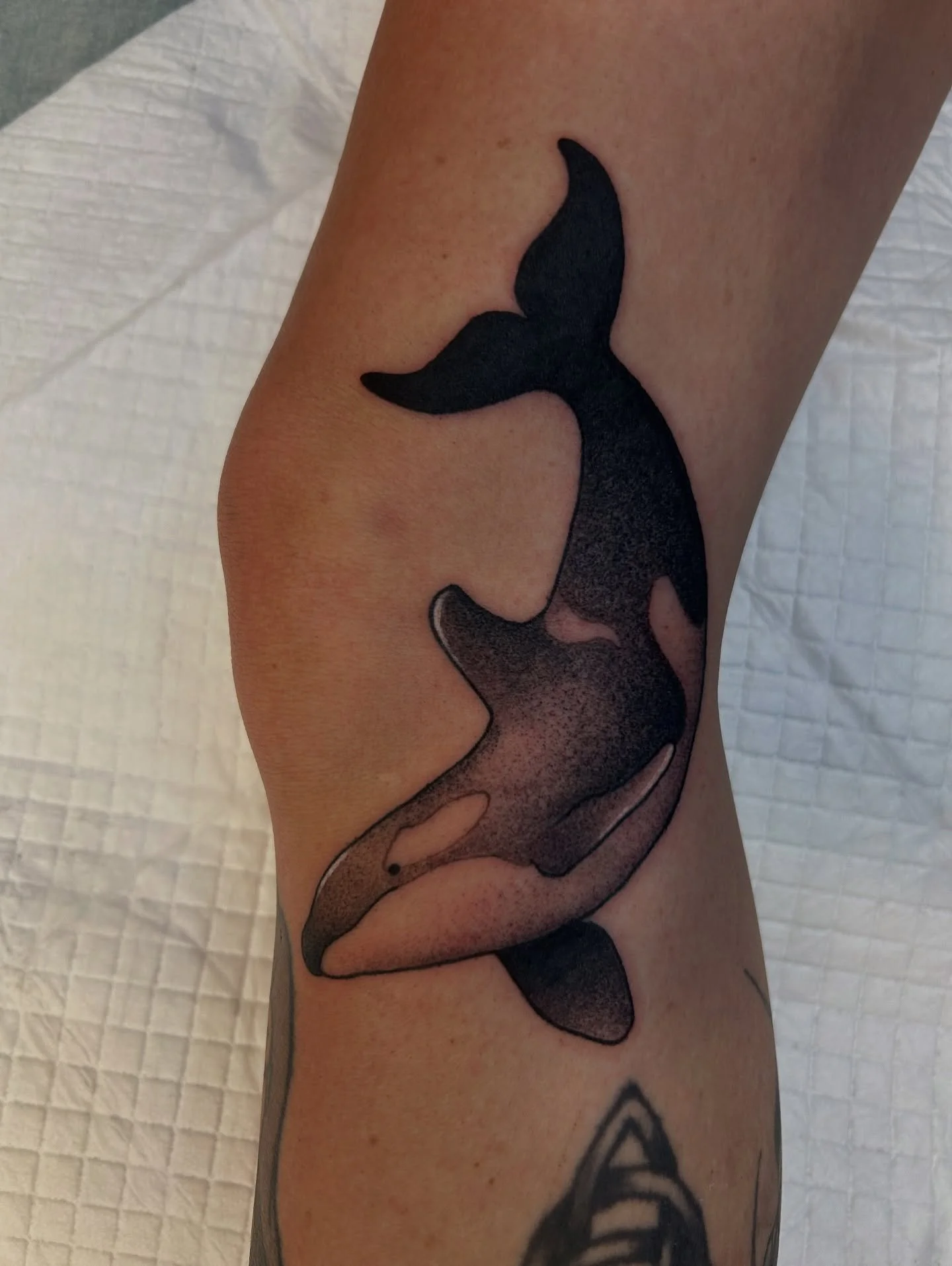 Another lil guy from the other day with @alcaponeybaloney 🖤🖤

I have a couple days left this month! DM to book 🤙