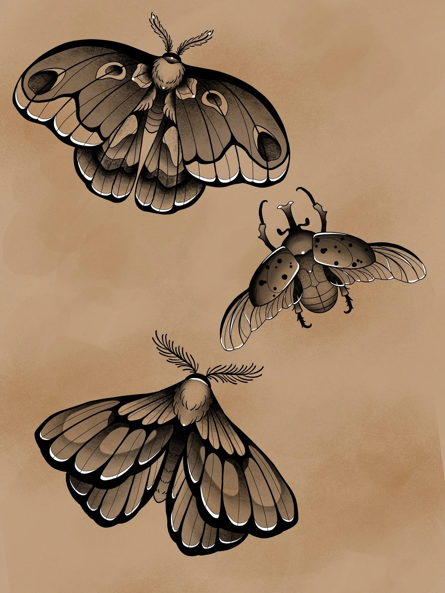 Anybody wanna add a bug to your collection? 👀

Up for grabs in black and grey or color- DM to snag 
#moth #blackandgrey #flash #tattoo #beetle #neotrad