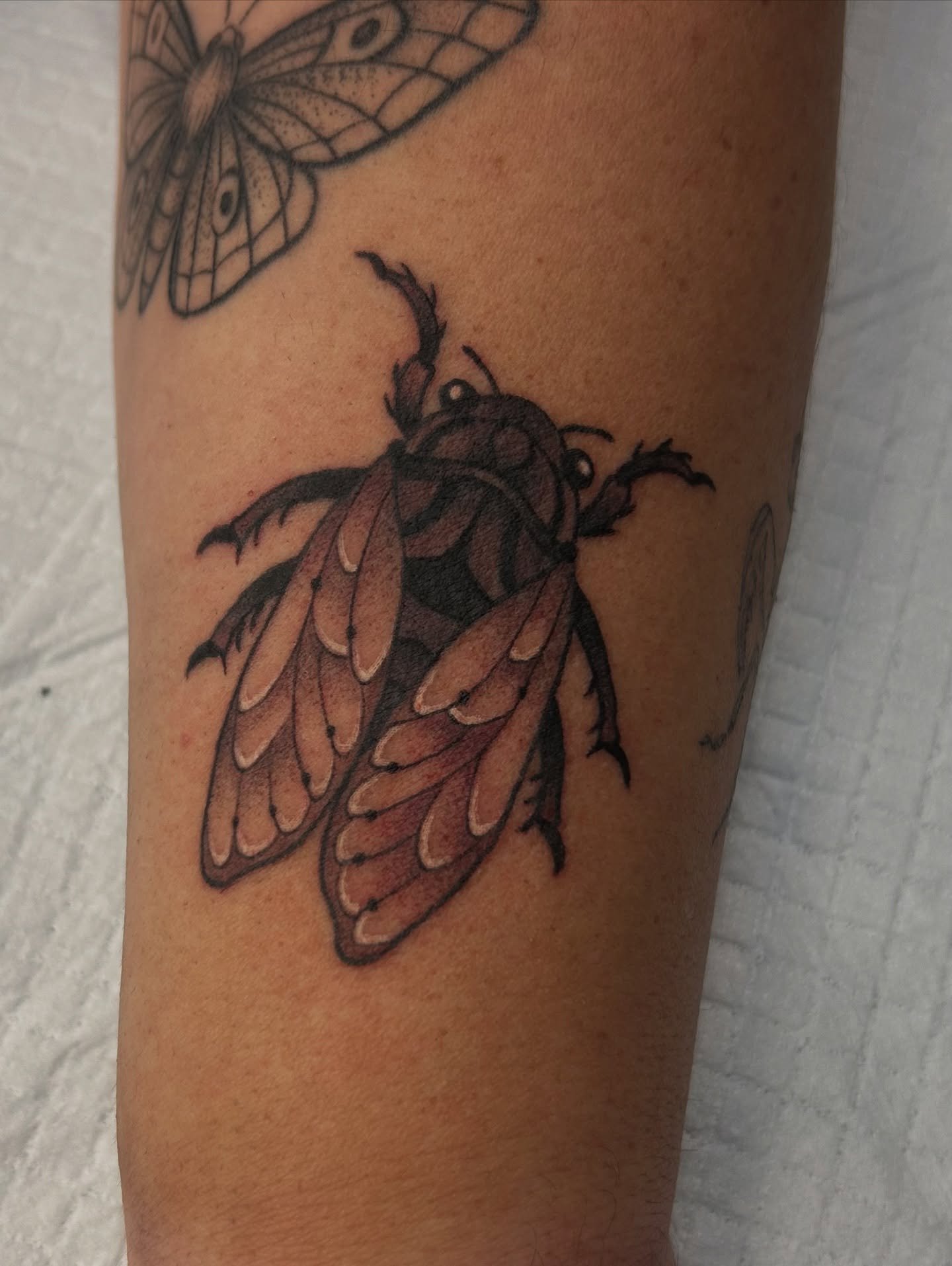 I got to add this lil cicada lady to Suzie&rsquo;s bug themed arm yesterday. Thanks for the fun hangs and being the coolest! 🤙

#cicada #blackandgray #tattoo #galena #dubuque #platteville #bugtattoo