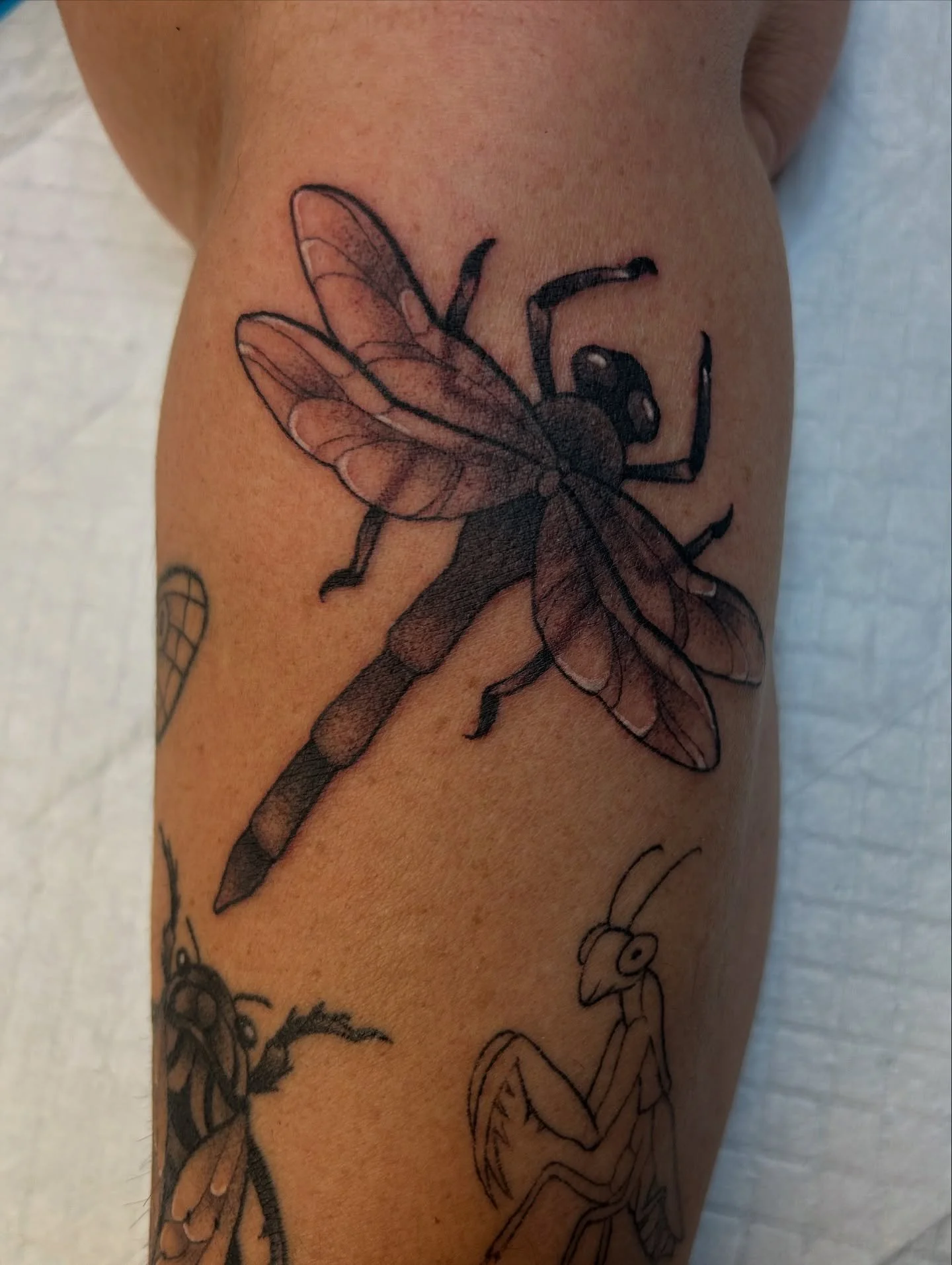 I got to add another lil guy for Suzie&rsquo;s bug arm! 🙌

#blackandgrey #tattoo #dragonfly #bug #dubuque #galena #platteville