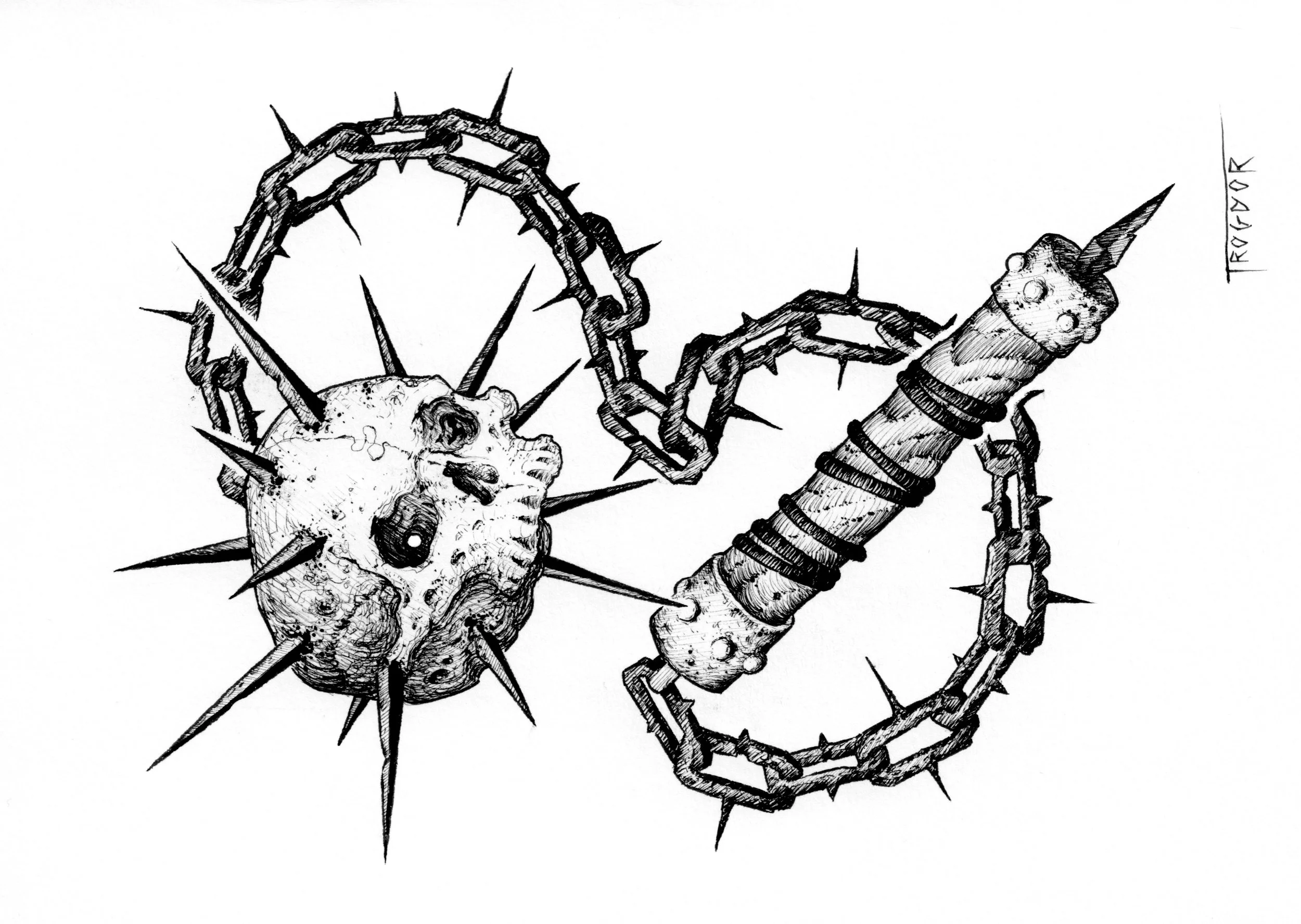Skull Flail 8"x10"