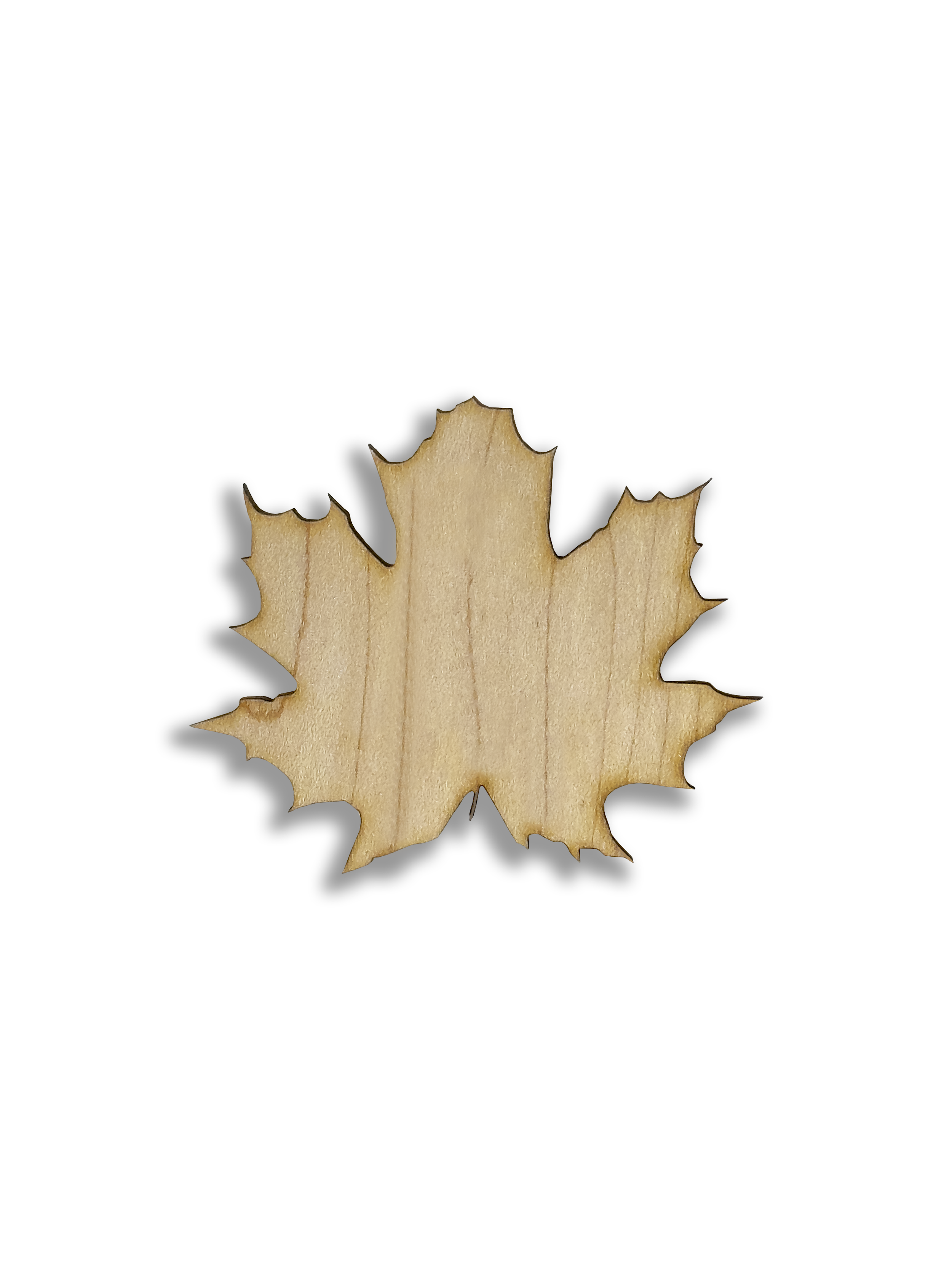 Sugar Maple Front.png