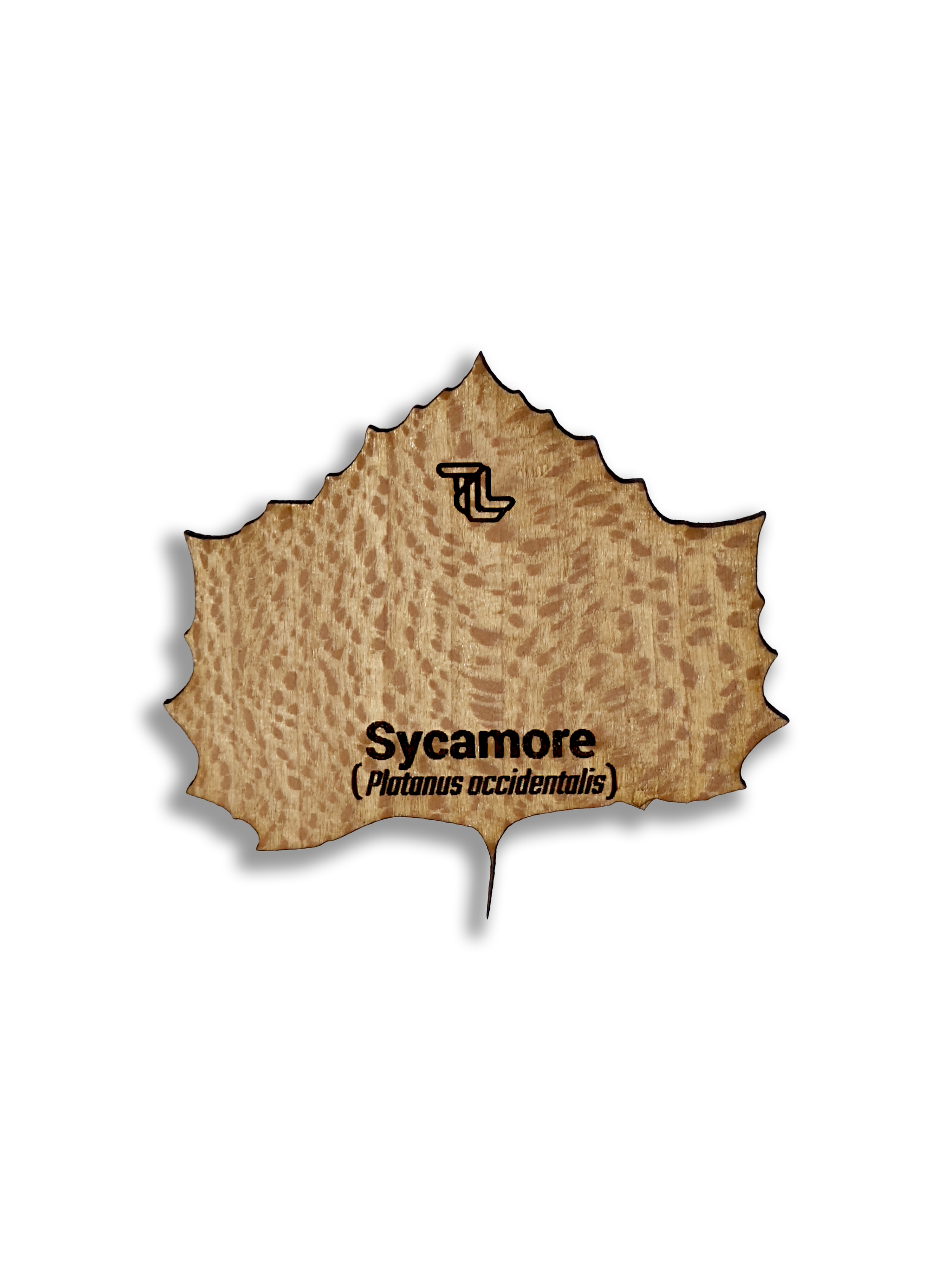 Sycamore Blank.png