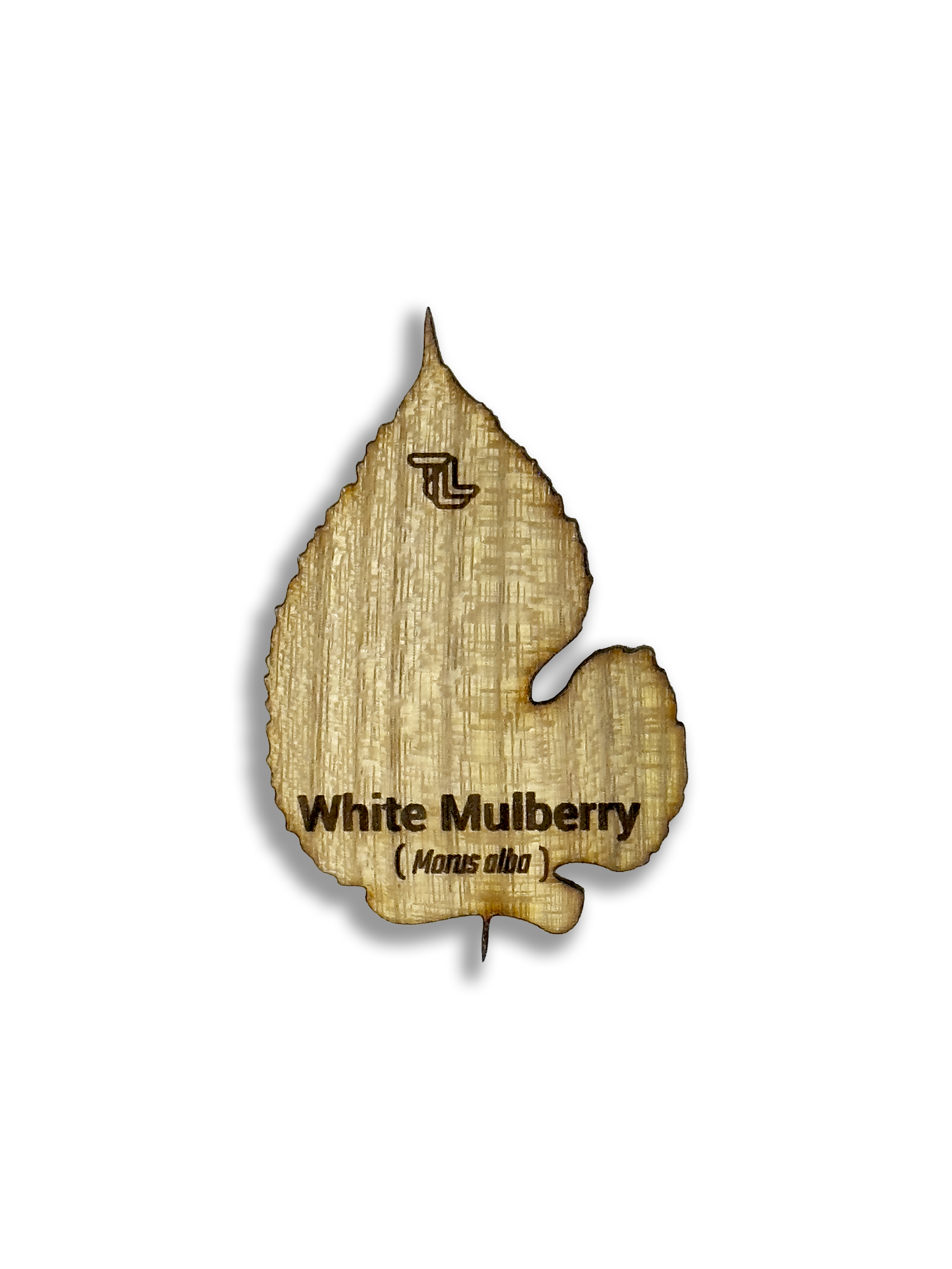 White Mulberry Blank.png