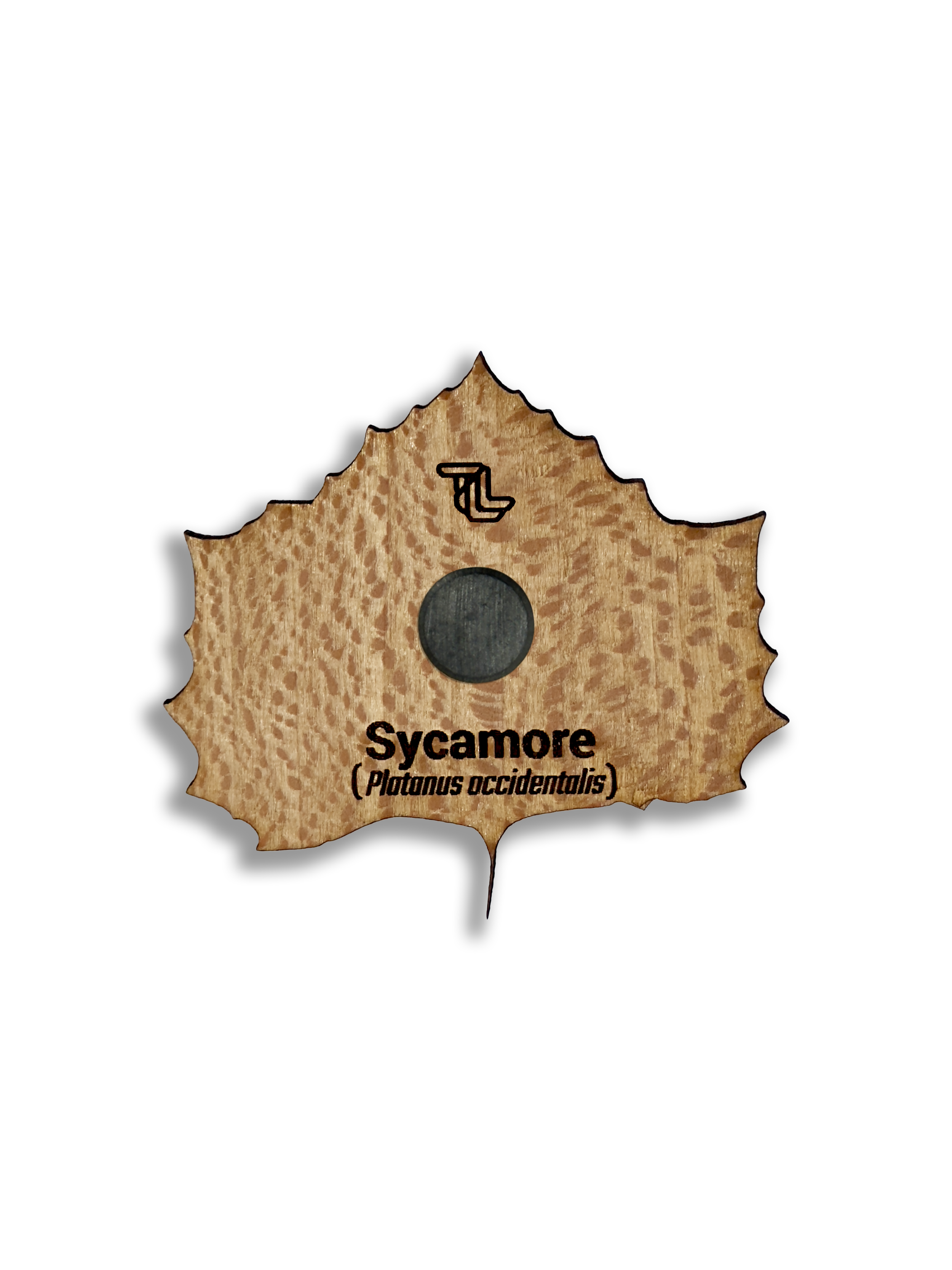 Sycamore Magnet.png